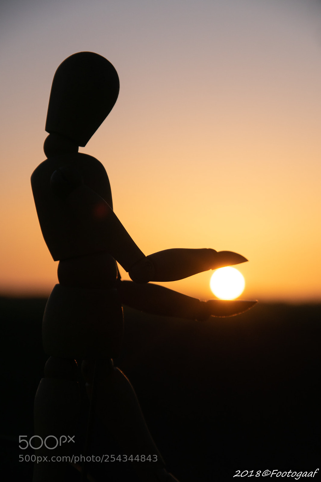 Sony ILCA-77M2 sample photo. Spelen met zon photography