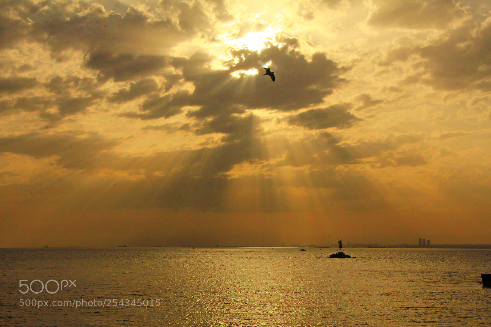 Canon EOS 60D sample photo. Untitled photography