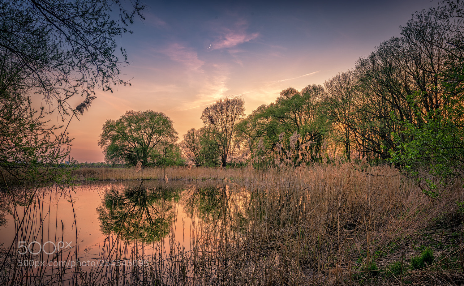 Nikon D810 sample photo. Am fischerteich photography