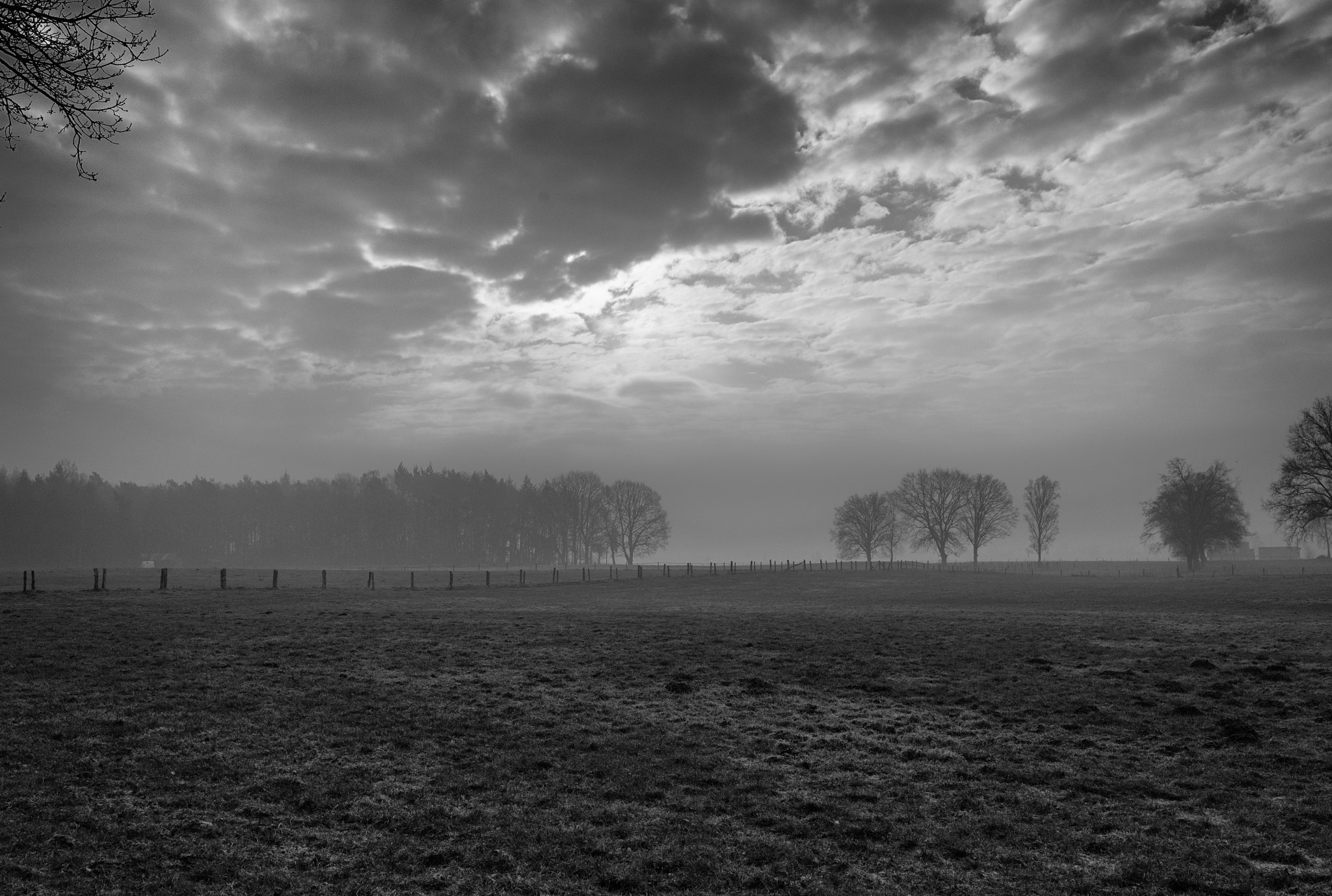 Leica M8 sample photo. Field near stokkum, morning photography
