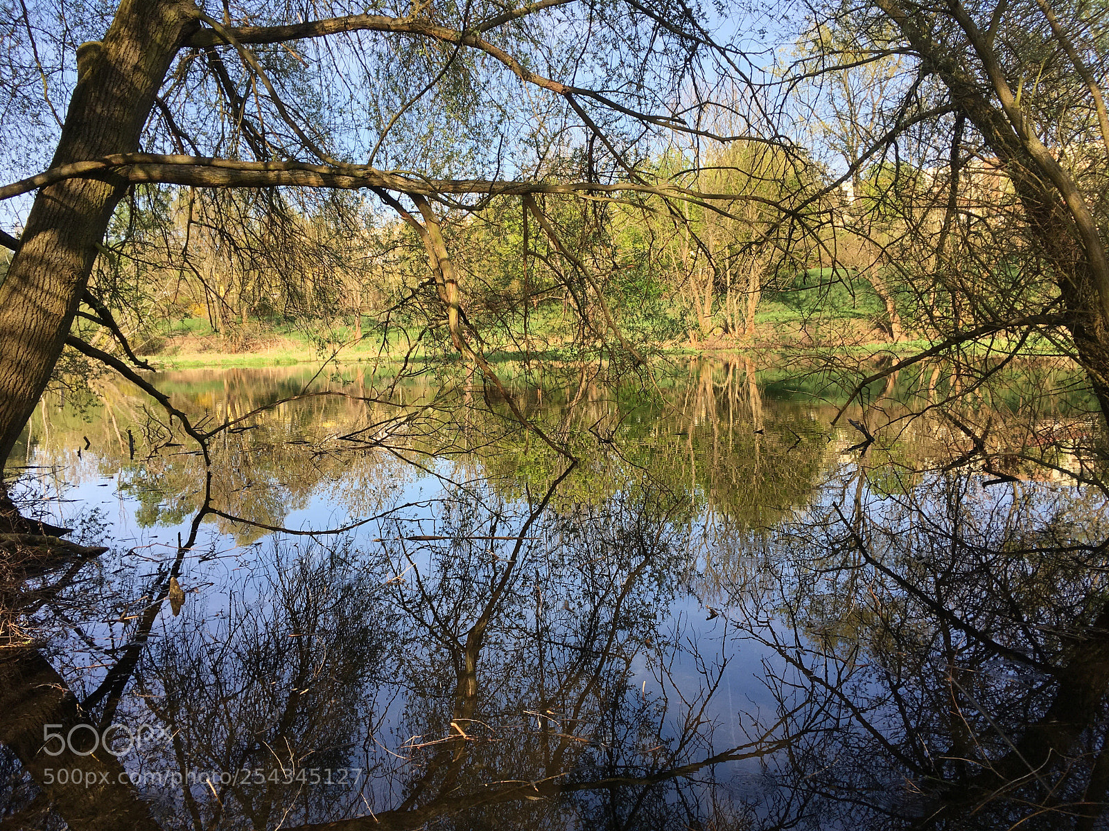 Apple iPhone SE sample photo. Reflections photography