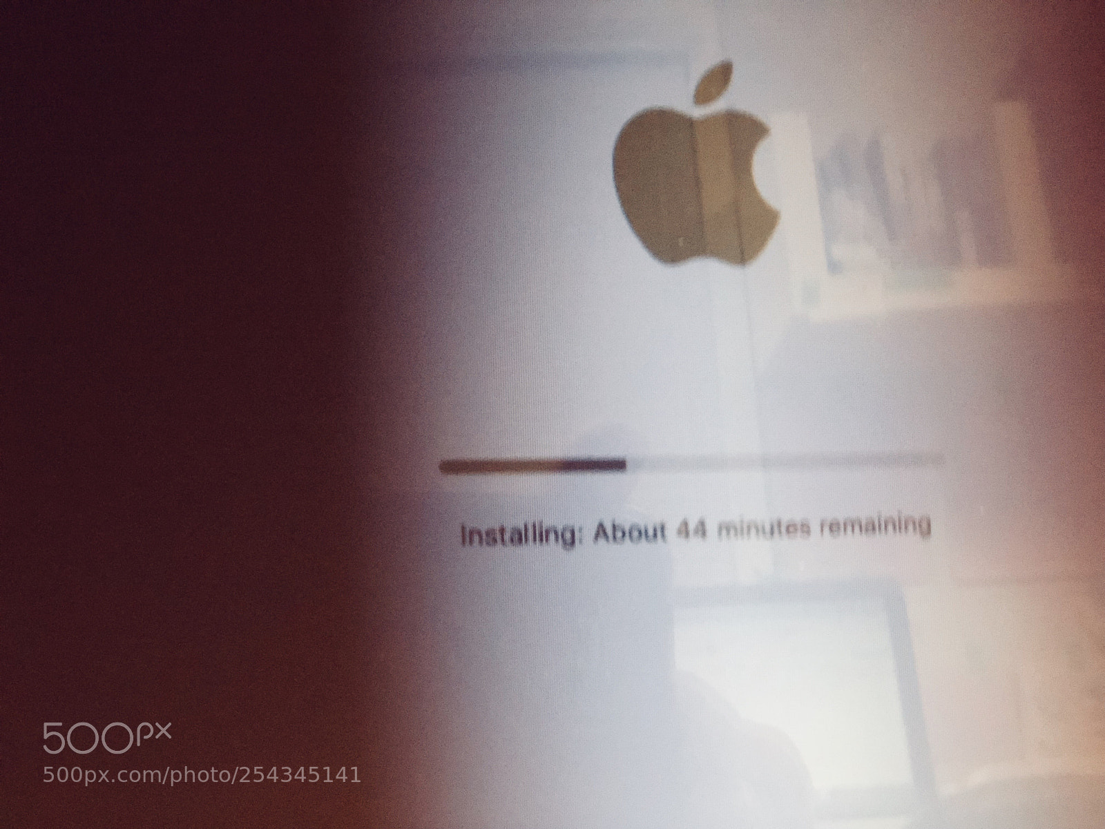 Apple iPhone 8 Plus sample photo. Untitled photography
