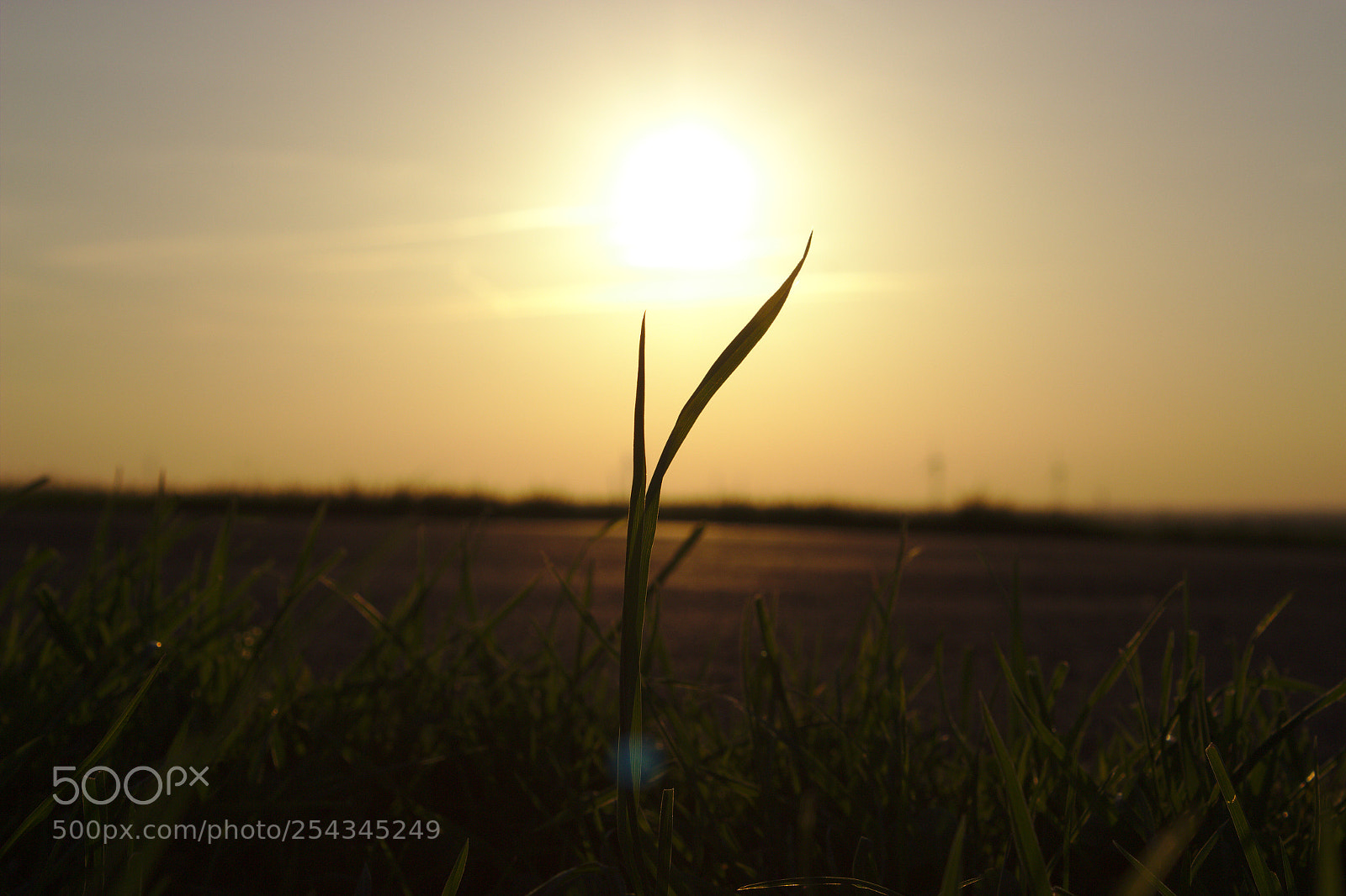 Canon EF-S 18-55mm F3.5-5.6 III sample photo. Untitled photography