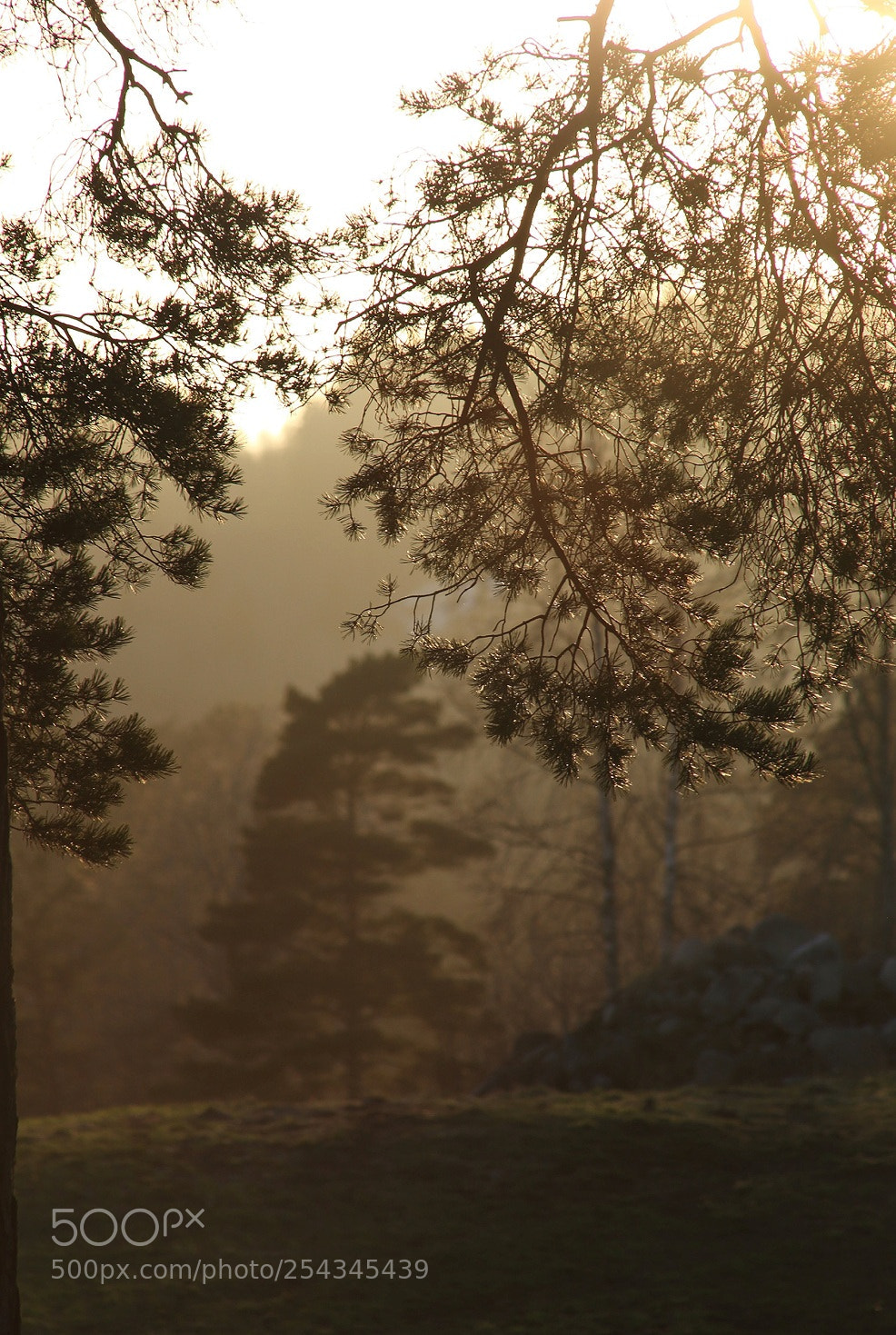 Canon EOS 5D Mark II sample photo. Sunset photography