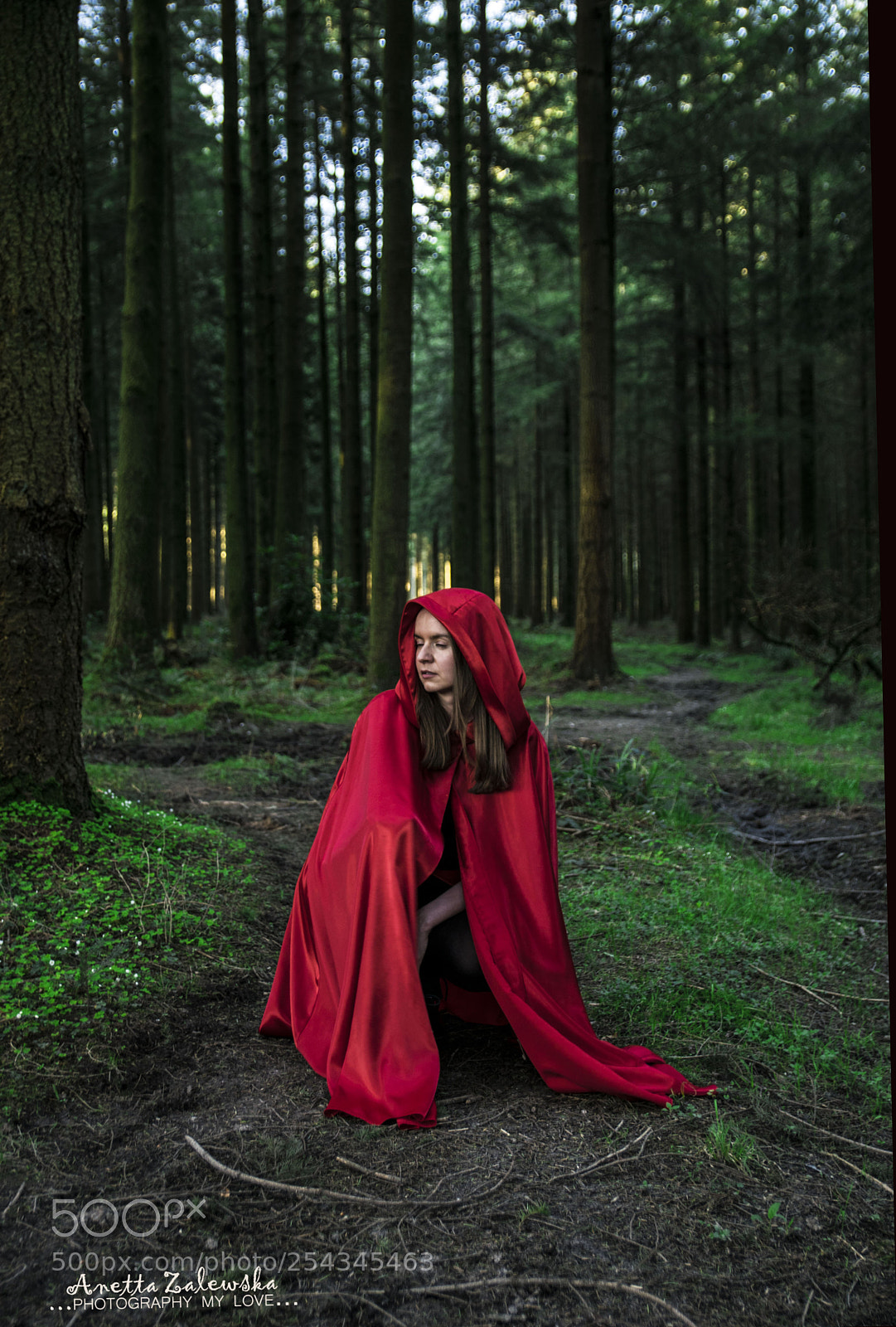 Nikon D3300 sample photo. Red riding hood photography