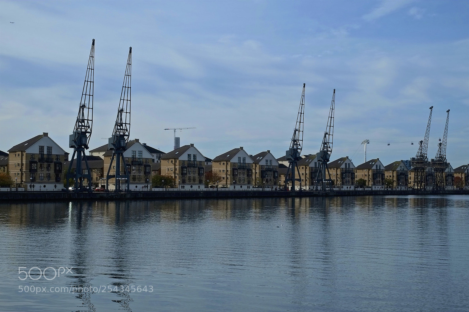 Fujifilm X-E1 sample photo. Cranes by the river photography