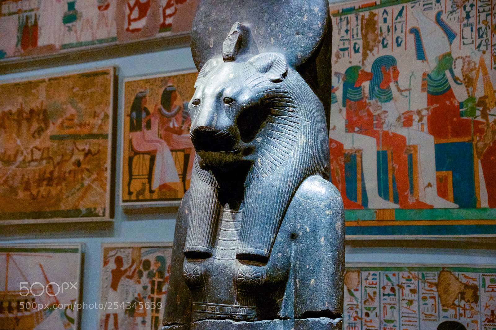 Sony SLT-A77 sample photo. Sphynx photography