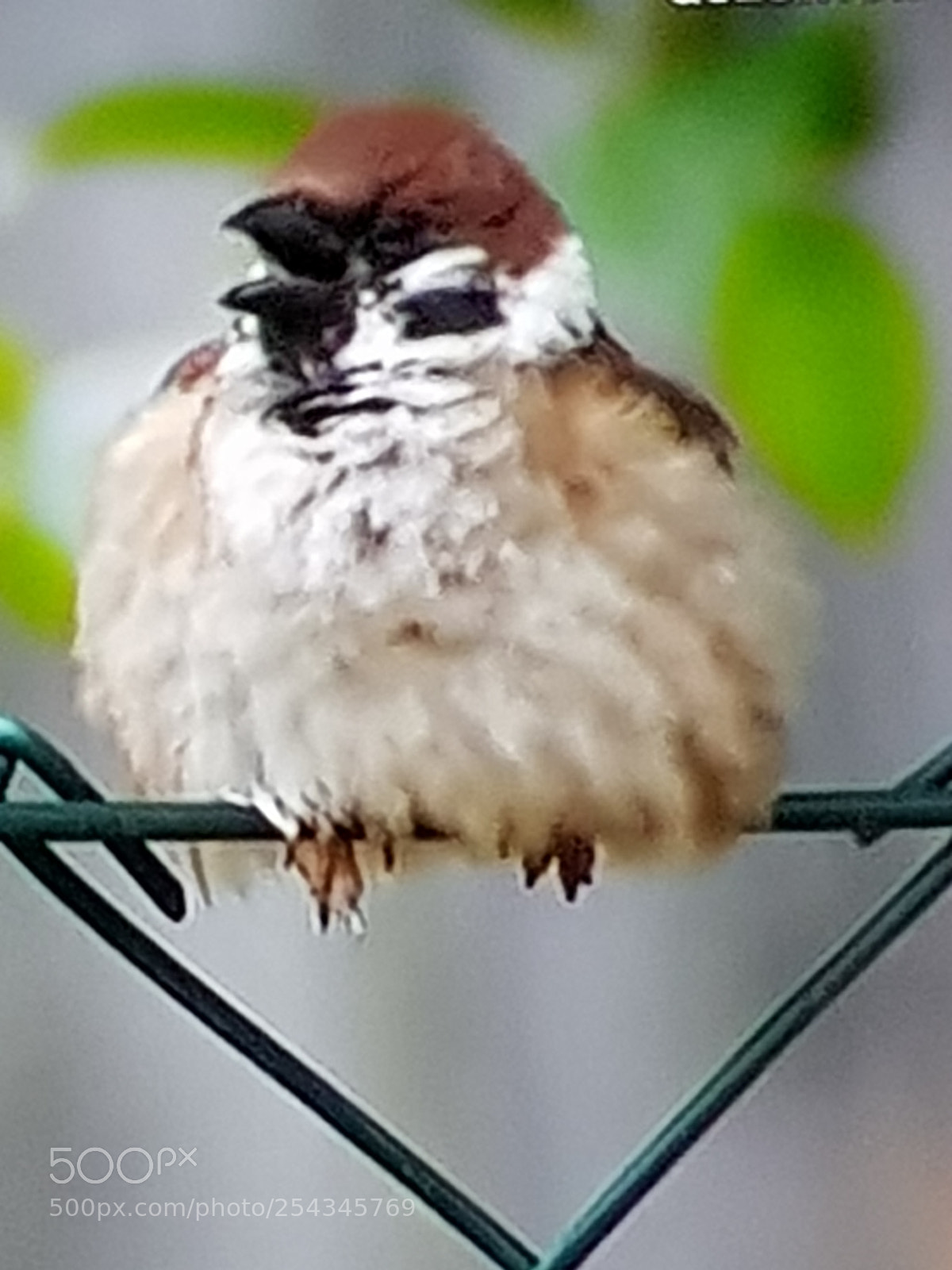 Samsung Galaxy S8 sample photo. Untitled photography