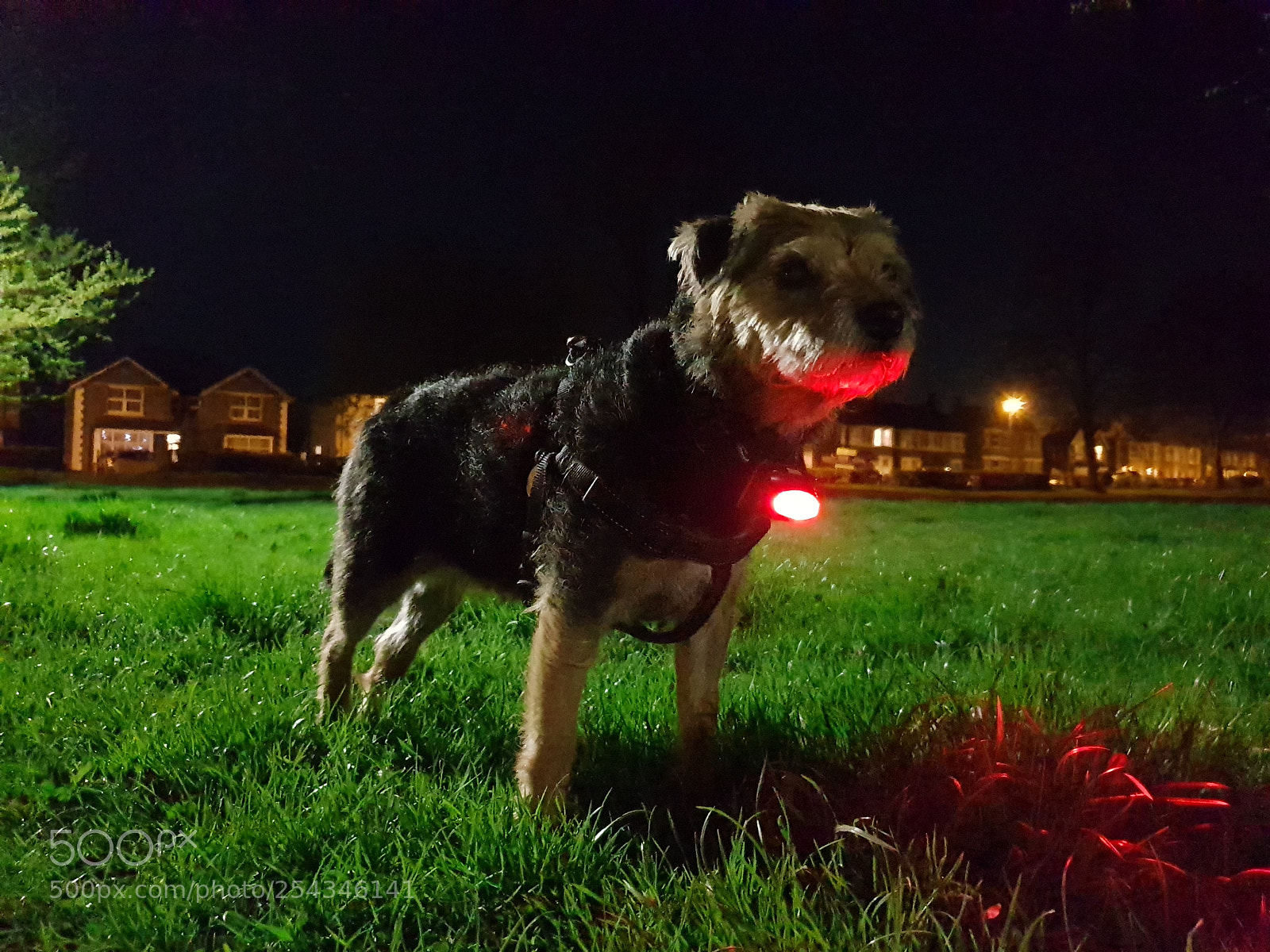 Samsung Galaxy S9 sample photo. Night photography
