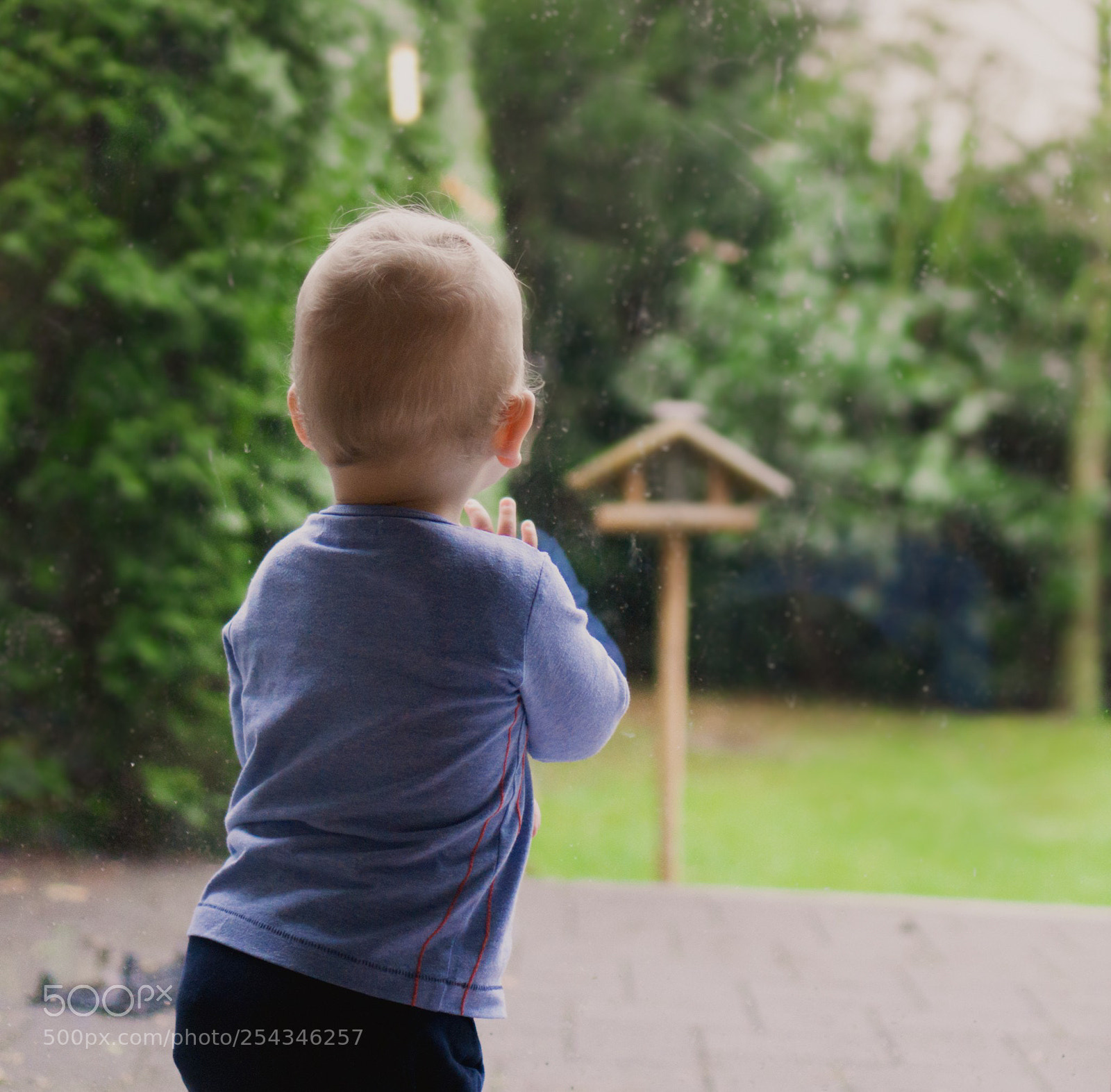 Sony a6000 sample photo. Birdwatching photography
