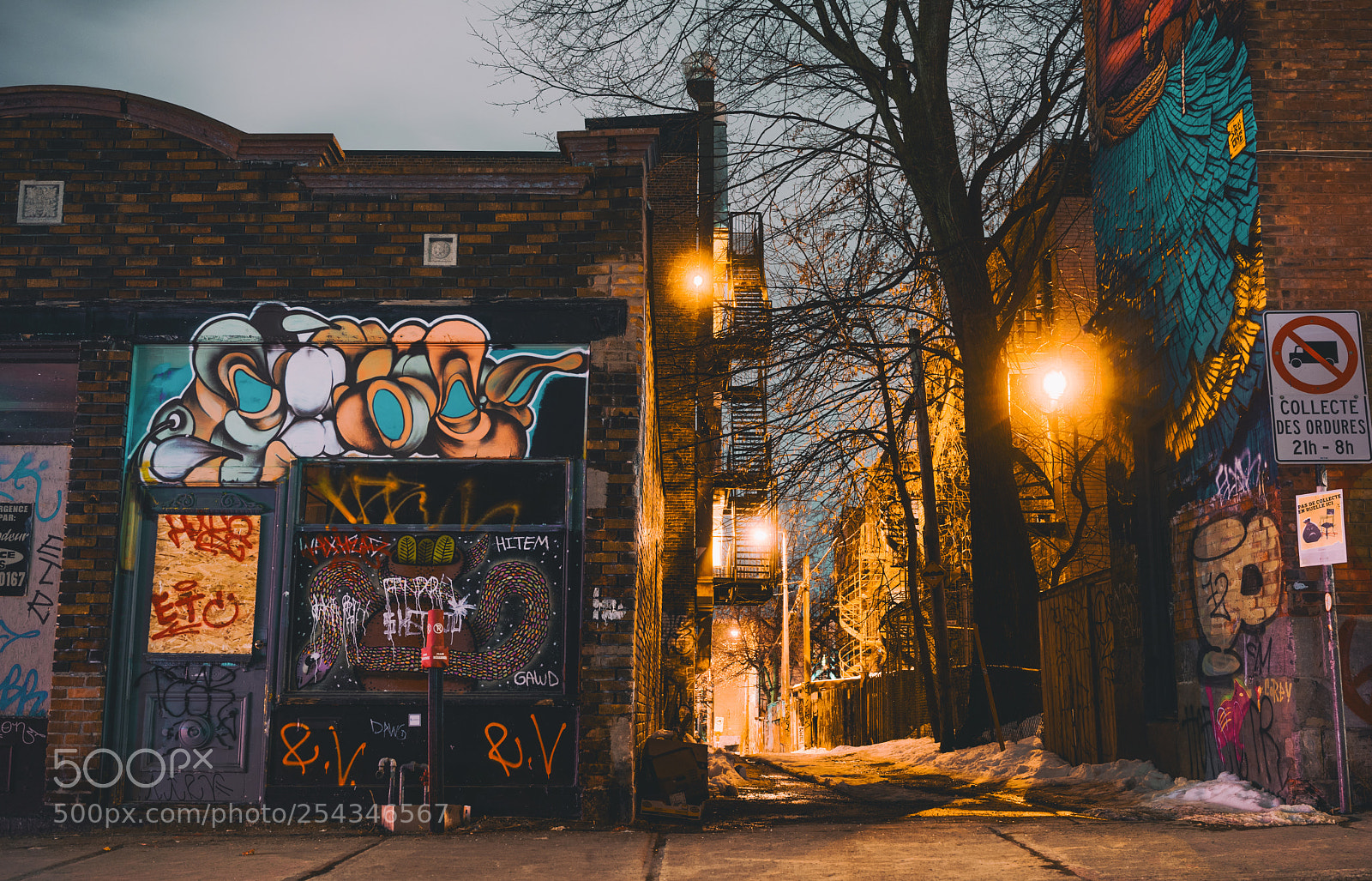 Sony a7 II sample photo. Duluth photography