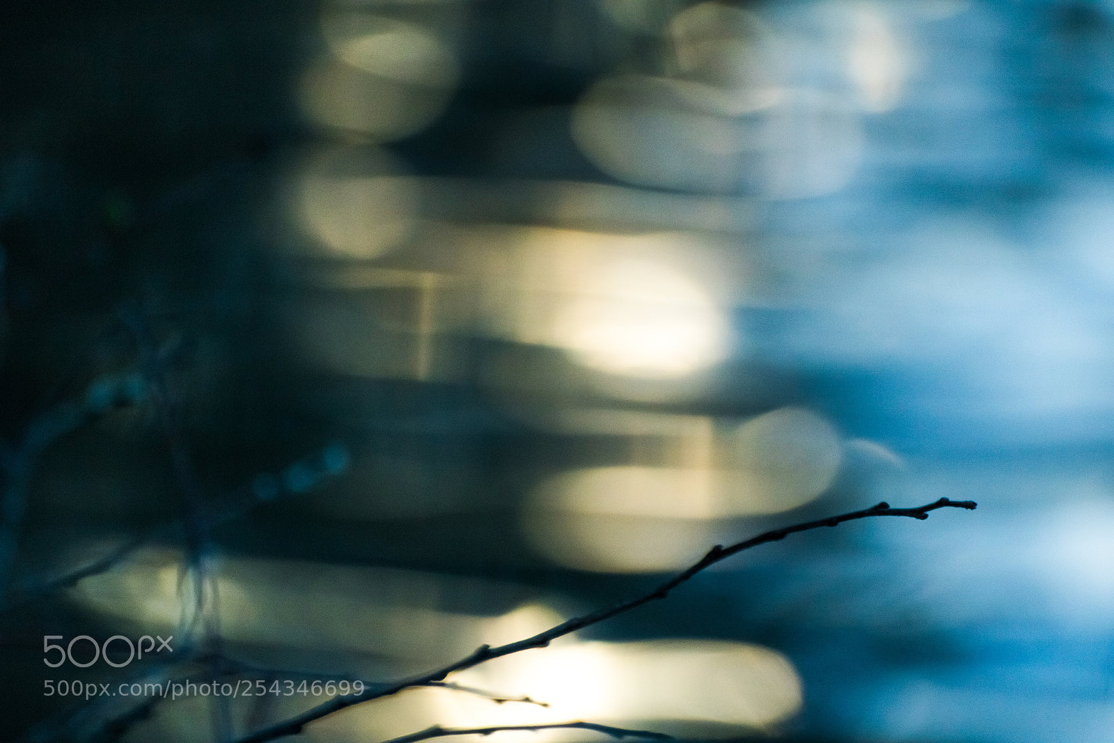 Canon EOS 750D (EOS Rebel T6i / EOS Kiss X8i) sample photo. Bokeh photography