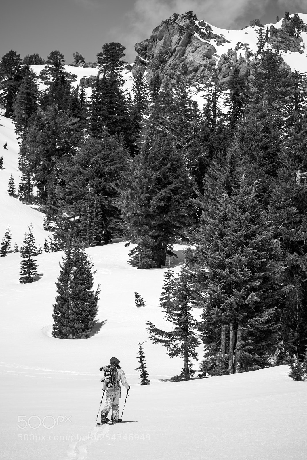 Nikon D850 sample photo. Into the wilderness photography