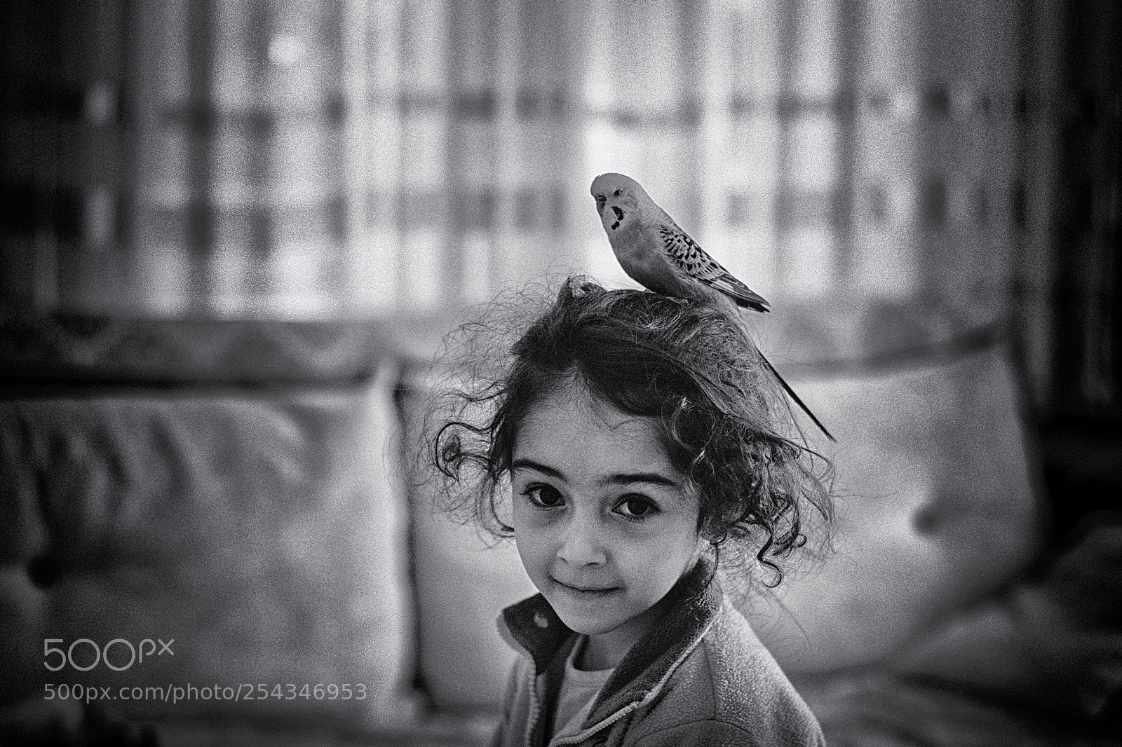 Fujifilm X-Pro2 sample photo. The girl with the photography