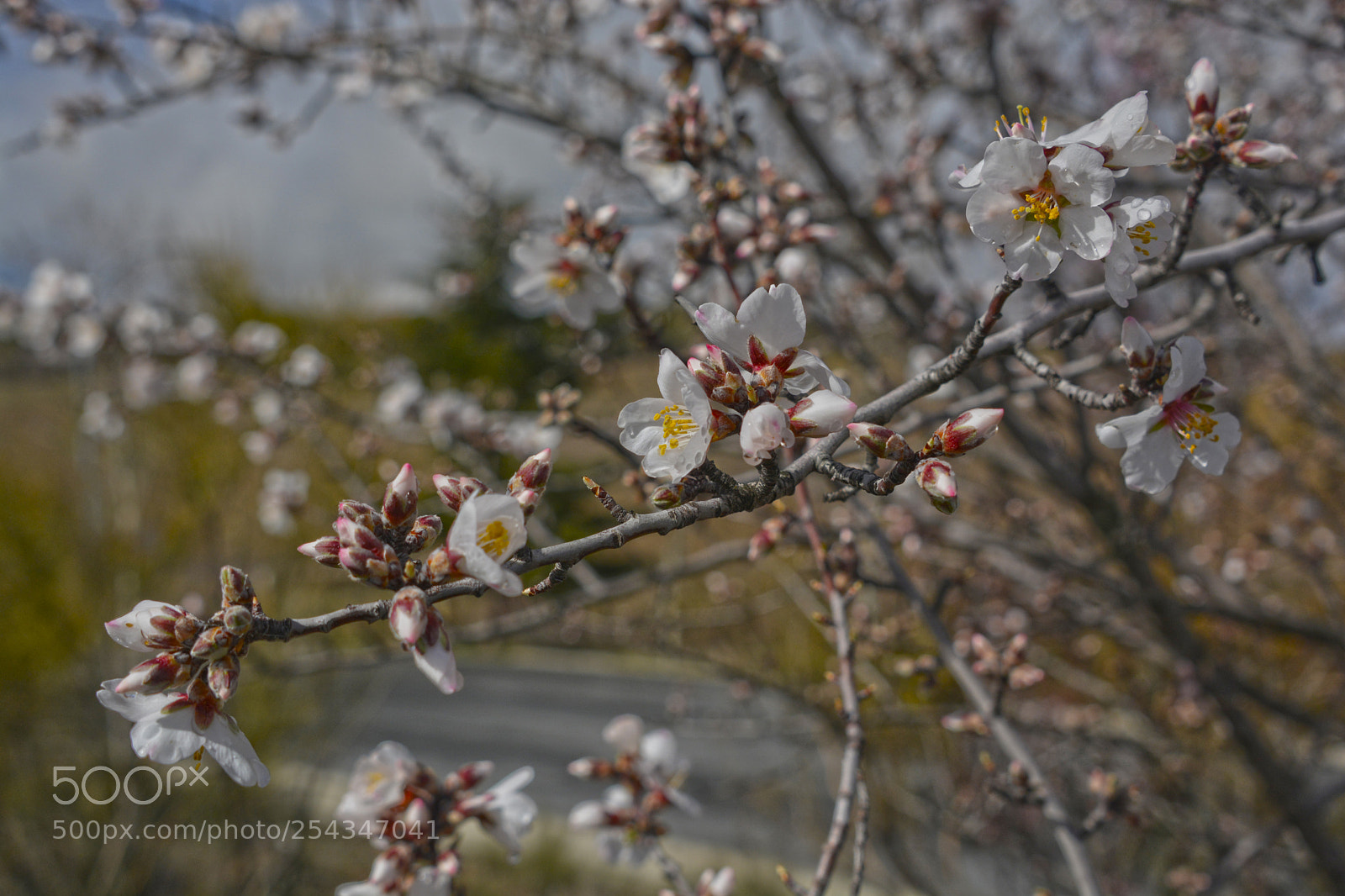 Nikon D7100 sample photo. Jpg copia photography
