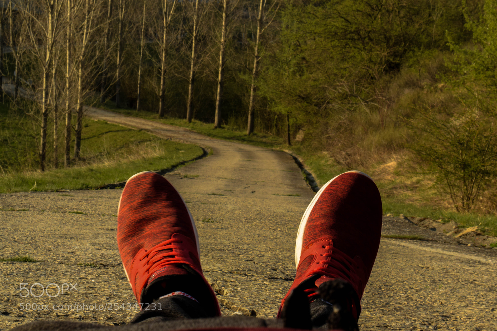 Nikon D3300 sample photo. Untitled photography