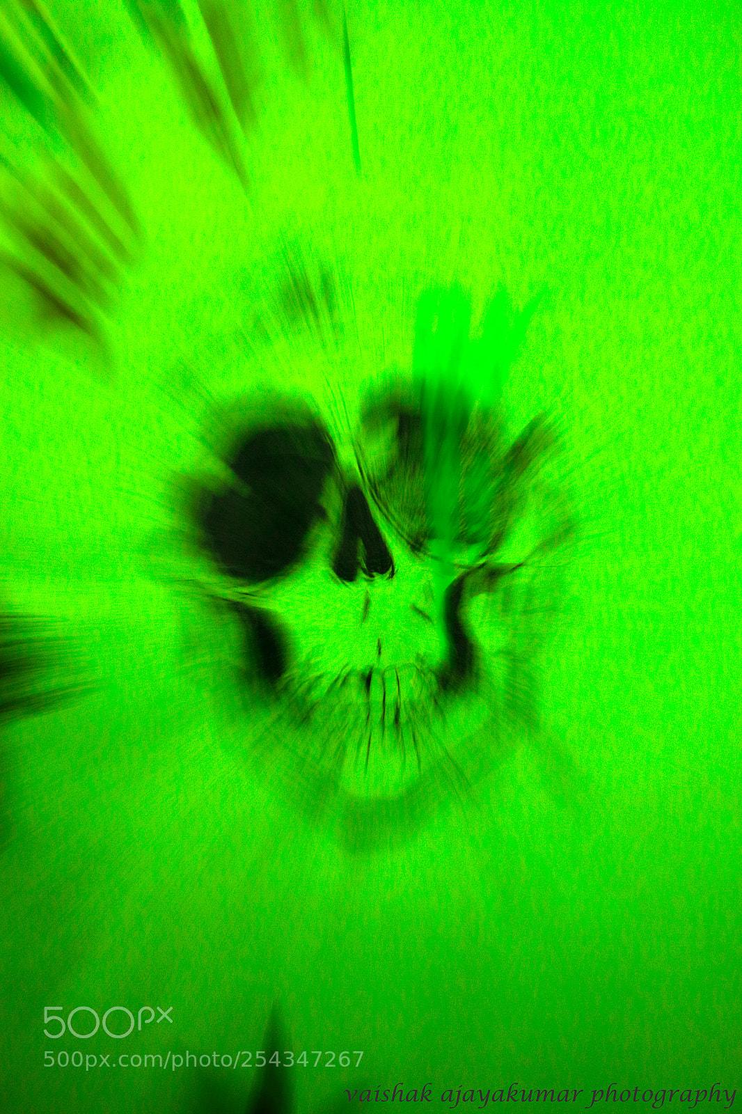Canon EOS 70D sample photo. Skull photography