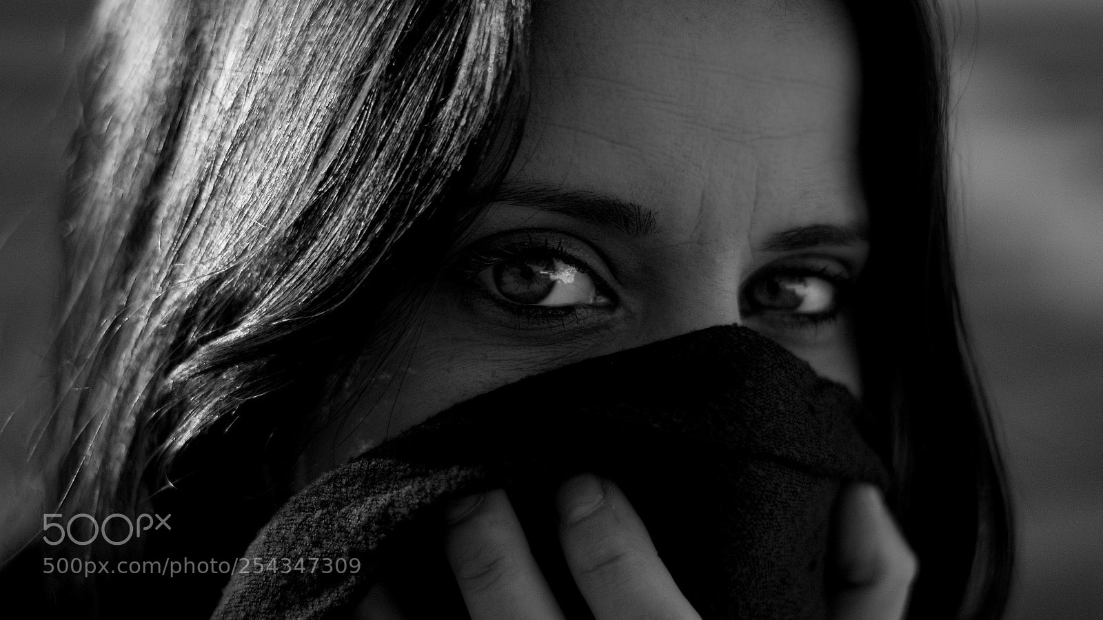 Sony SLT-A58 sample photo. Untitled photography