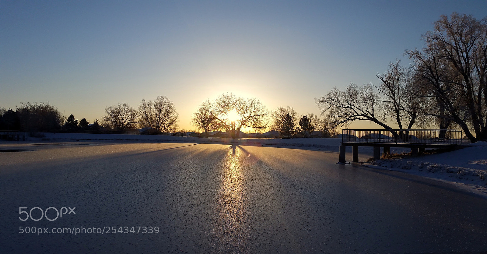Samsung Galaxy Note4 sample photo. Frosted pond morning photography