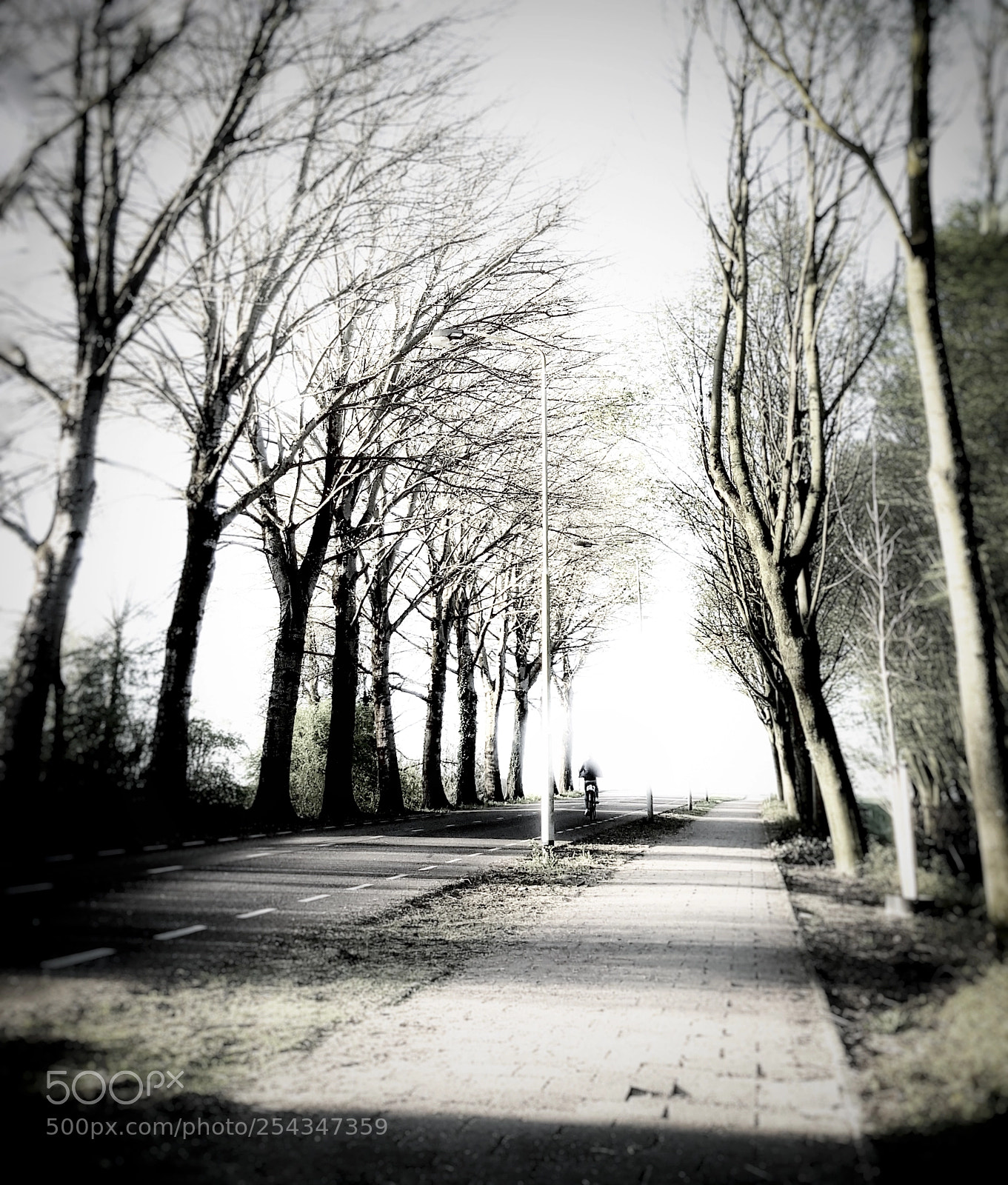 Samsung Galaxy S6 sample photo. • cyclist in the distance • photography