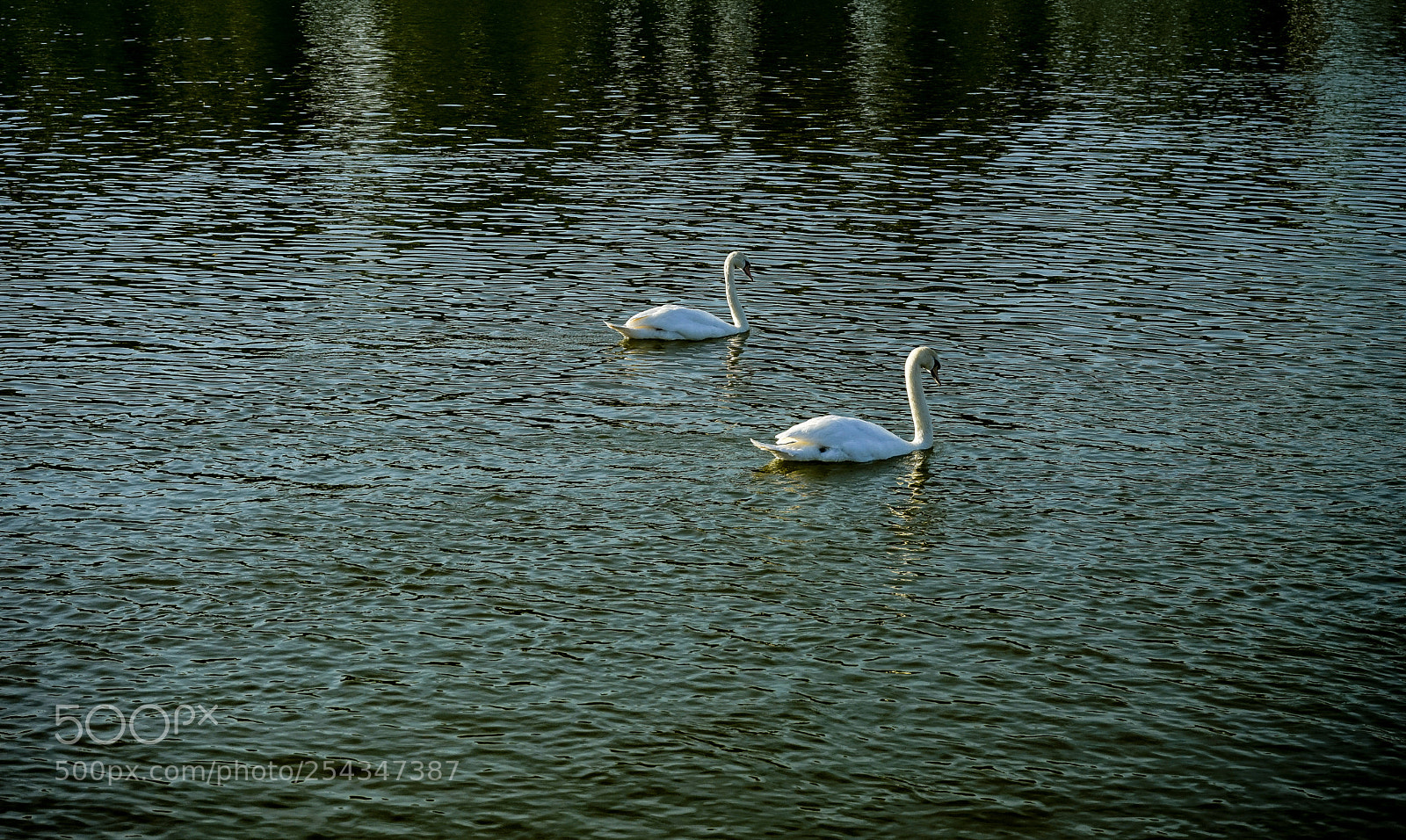 Sony a7 sample photo. Untitled photography