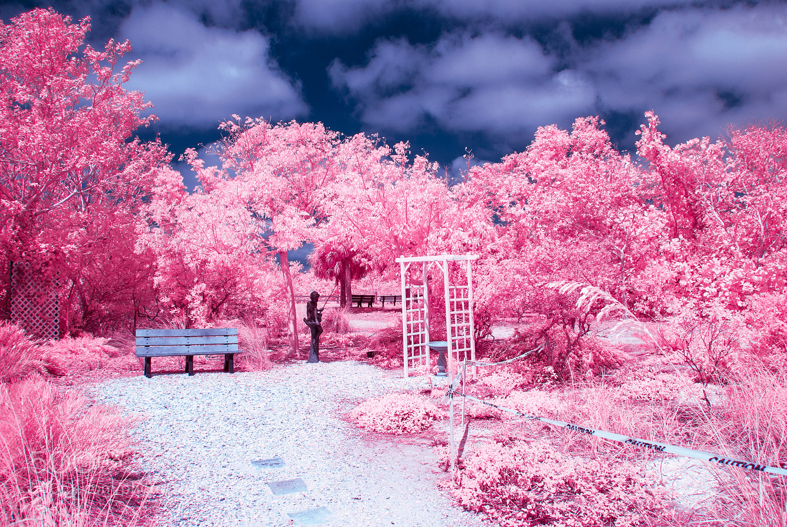 Nikon D40X sample photo. Bench ir 2 photography