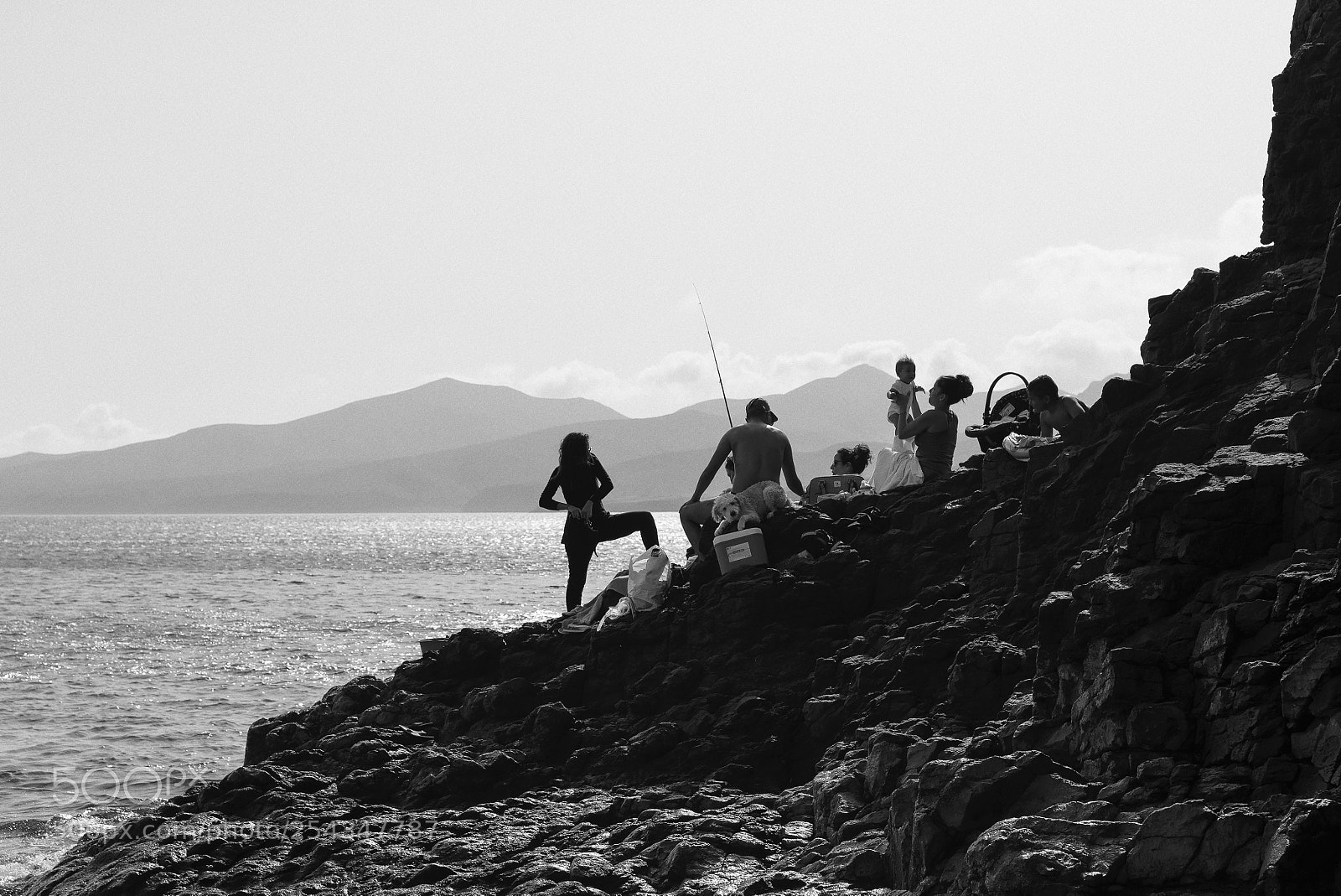 Nikon D610 sample photo. Untitled photography
