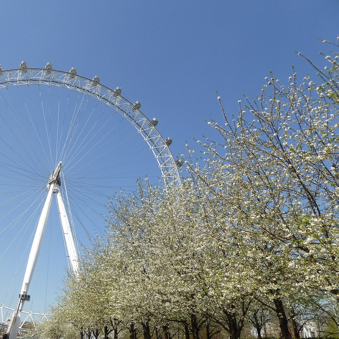 Panasonic Lumix DMC-ZS40 (Lumix DMC-TZ60) sample photo. The london eye. cherry blossom. and the blue sky. photography