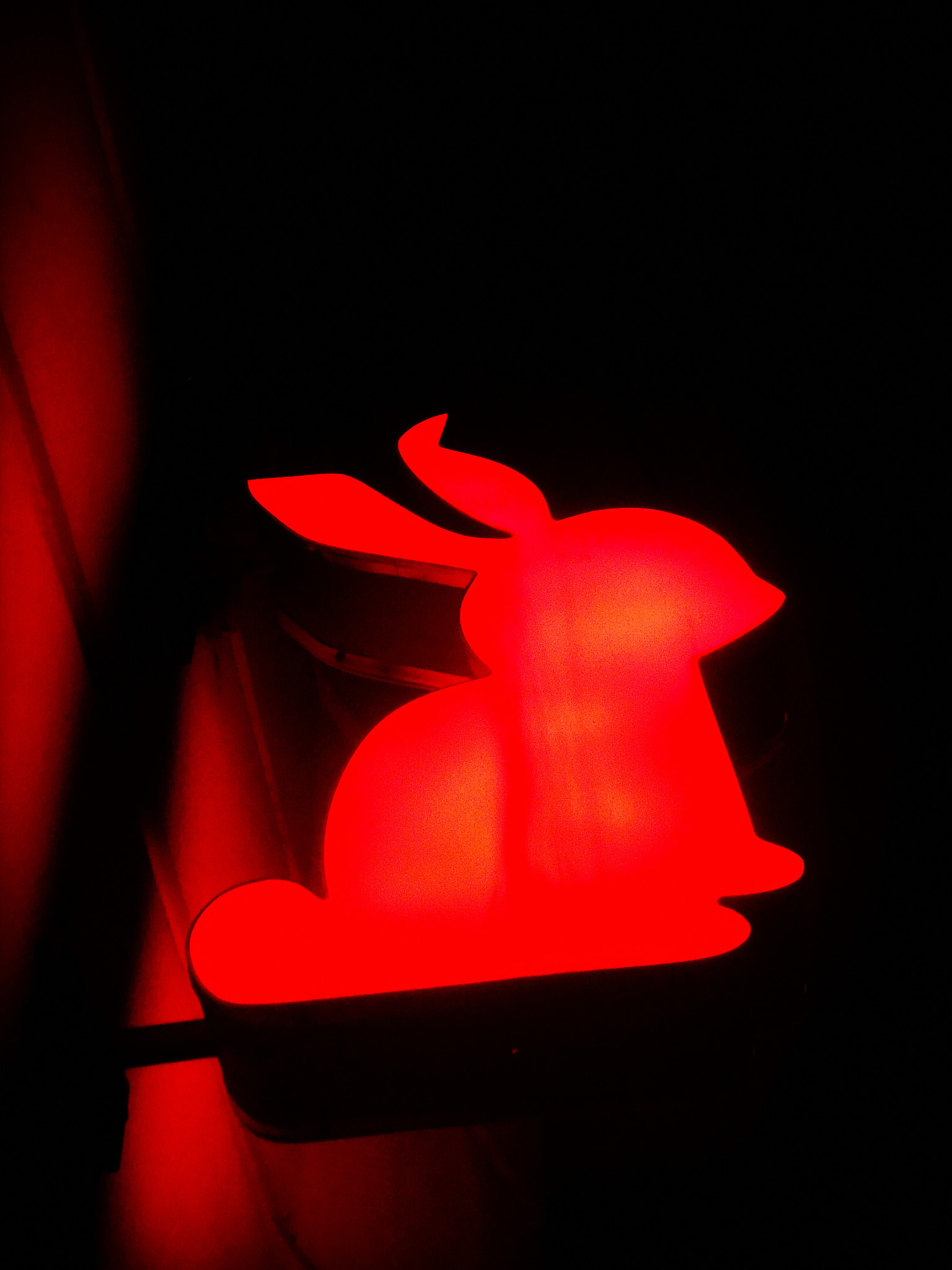 Sony Cyber-shot DSC-W320 sample photo. Red bunny photography