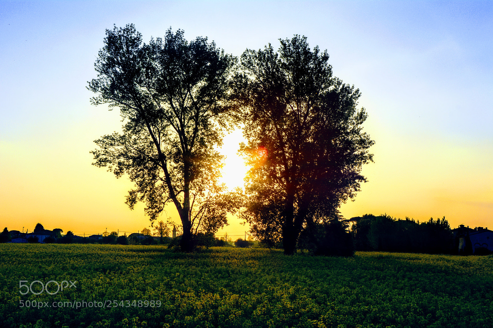 Nikon D7100 sample photo. L'abbraccio del sole photography