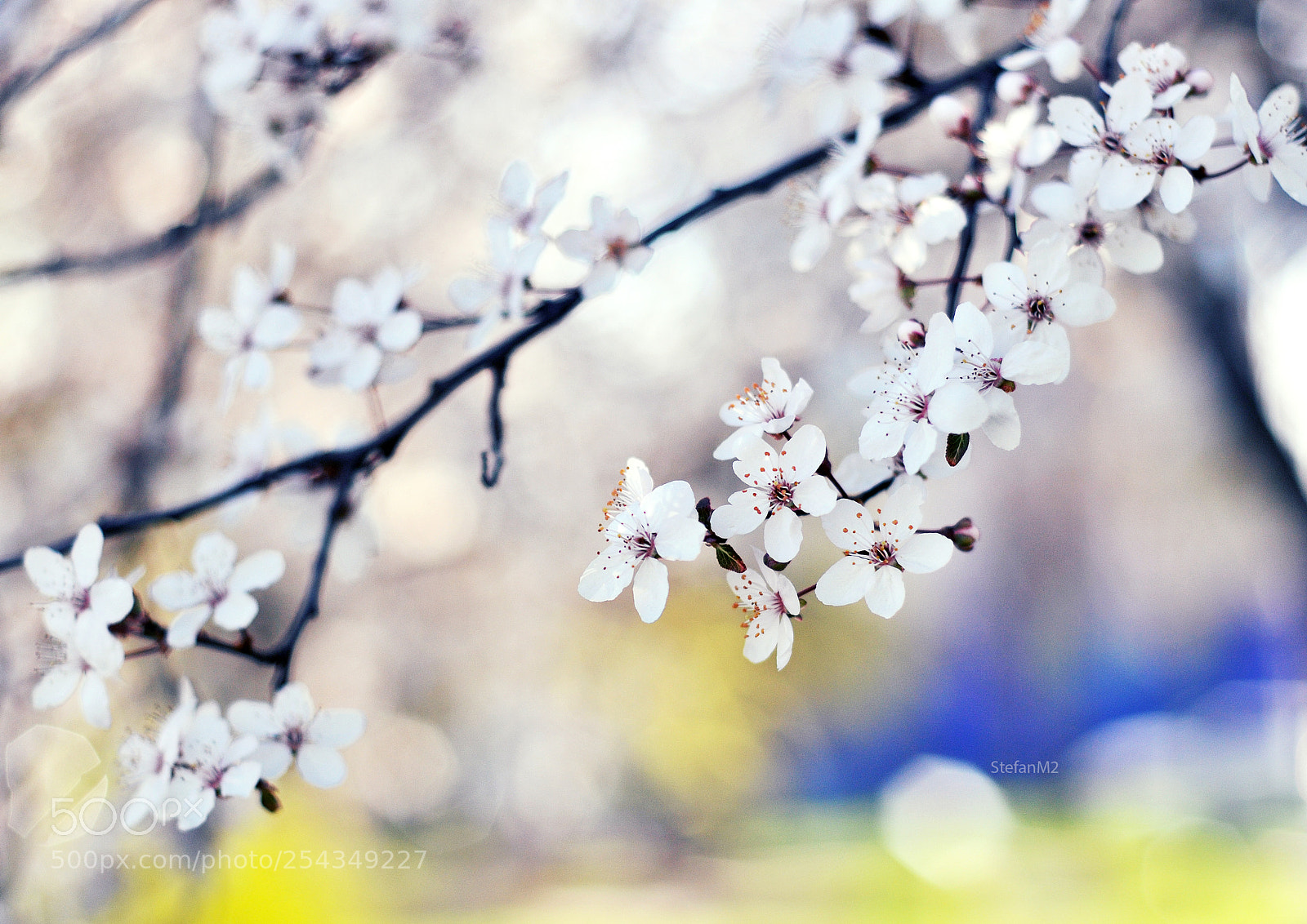 Nikon D300S sample photo. Fdffghkh photography