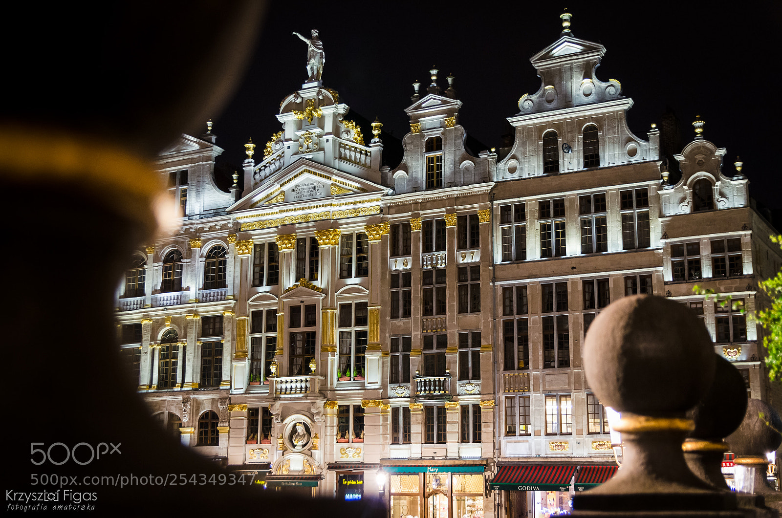Nikon D5100 sample photo. Grand place du brussels photography