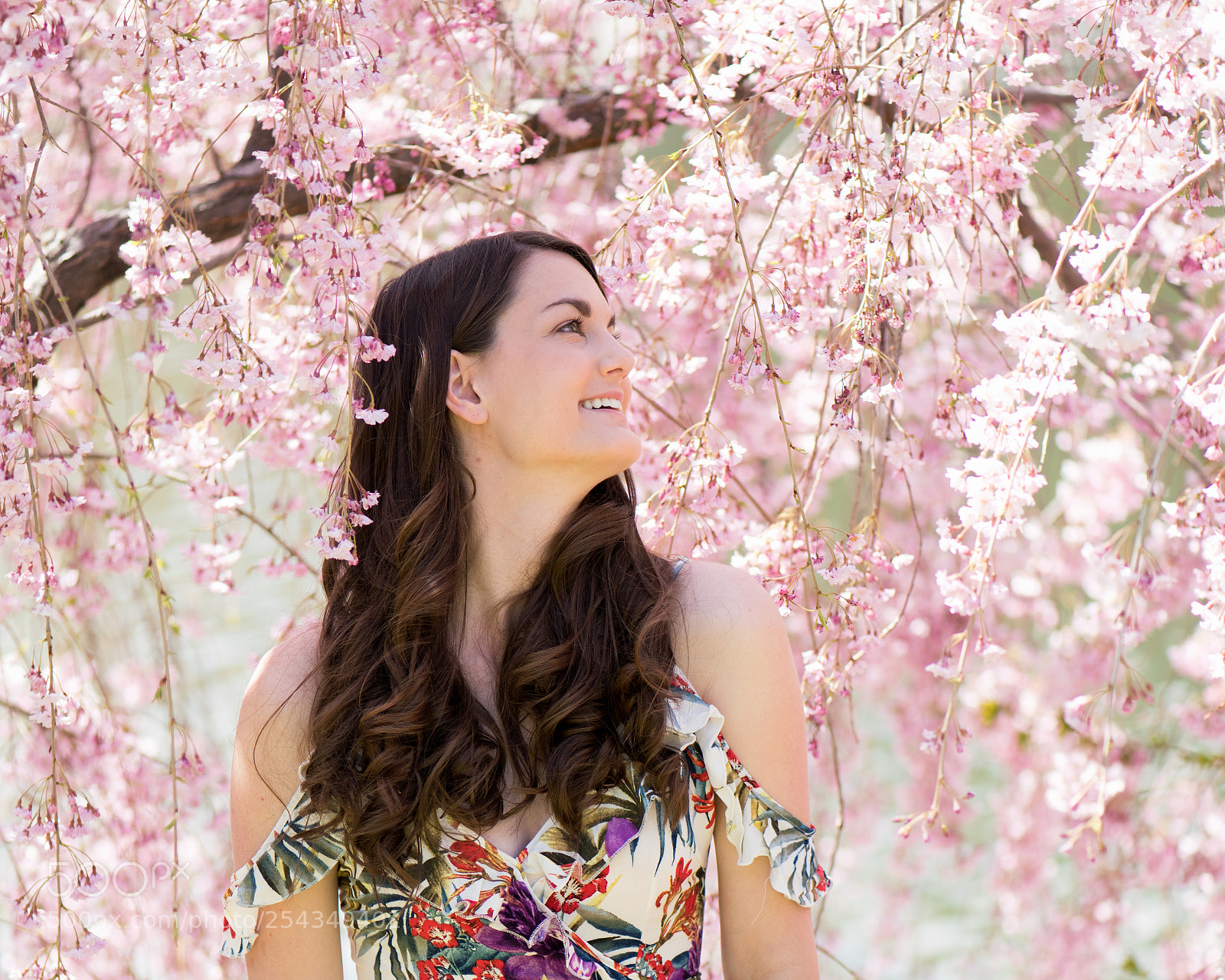 Nikon D810 sample photo. Pink dreams photography