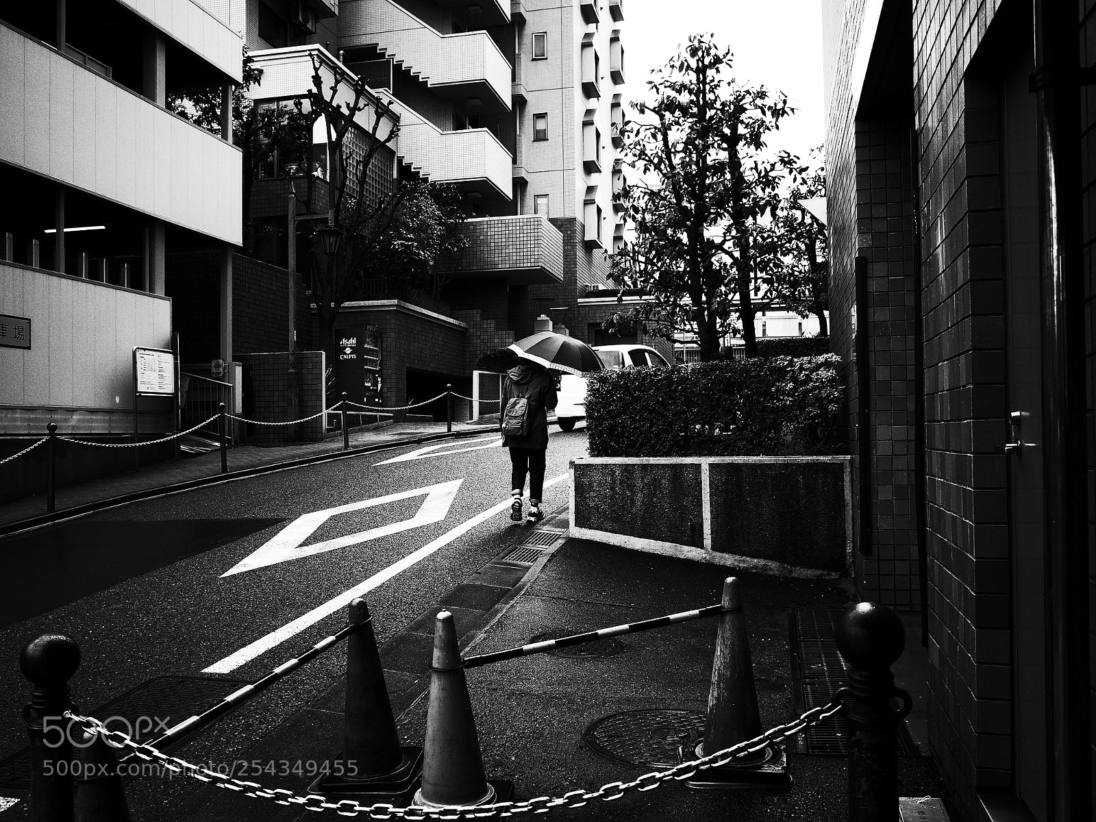 Ricoh GR II sample photo. Umbrella photography