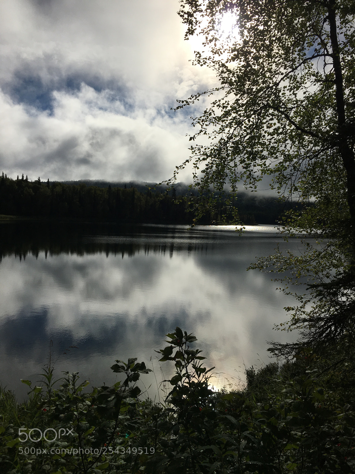 Apple iPhone 6s sample photo. Reflection on a summer photography