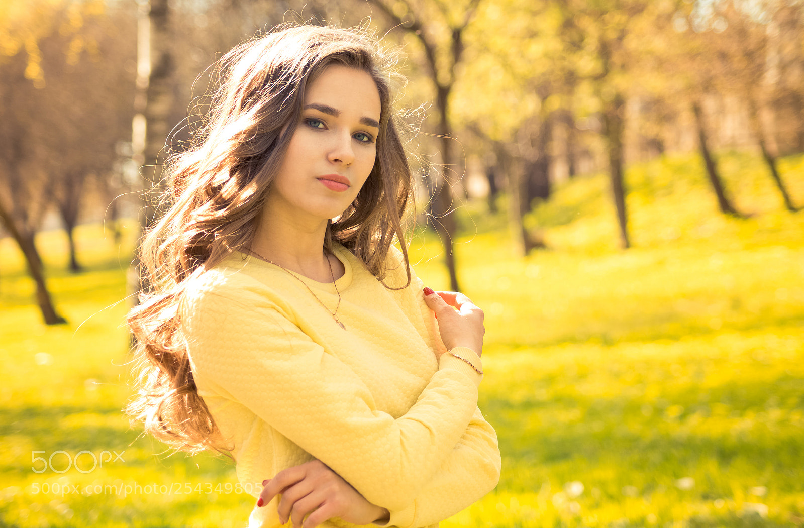Sony SLT-A58 sample photo. In yellow garden photography