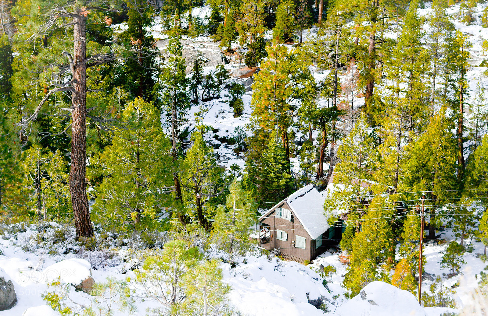 Nikon D7100 sample photo. Who lives there?! photography