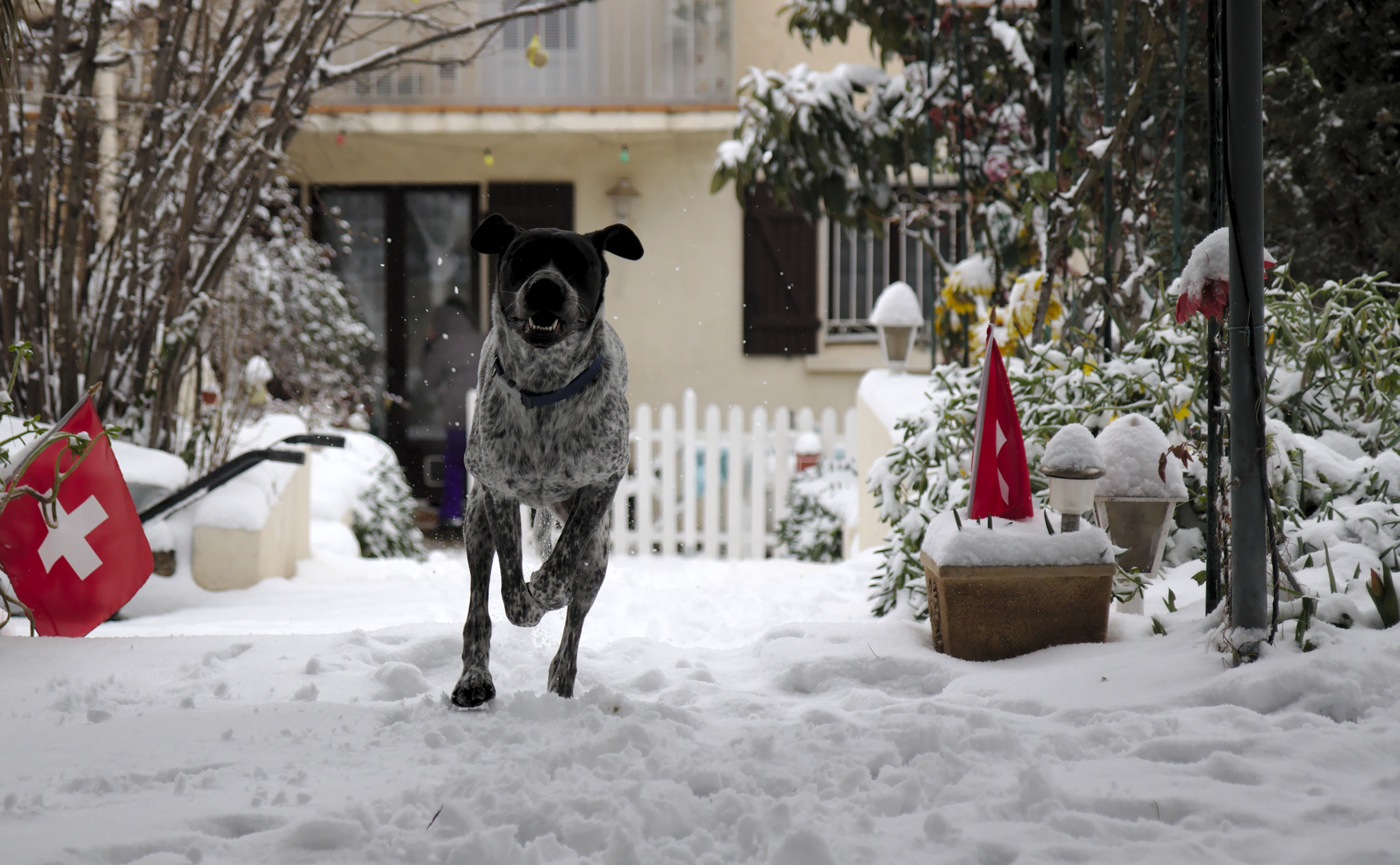 Canon EF-S 17-55mm F2.8 IS USM sample photo. Discovering snow photography