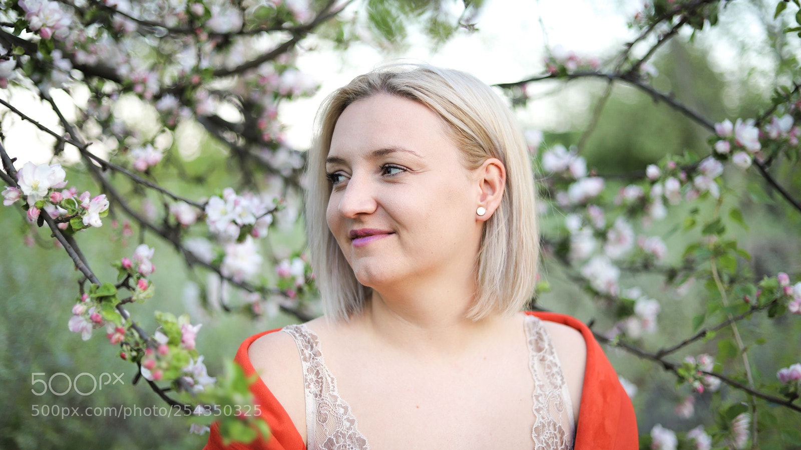 Canon EOS 6D Mark II sample photo. Untitled photography