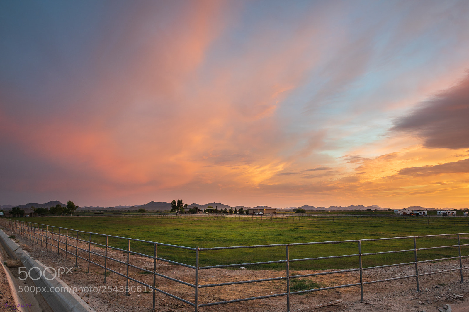 Nikon D5600 sample photo. Pastels 5517 photography