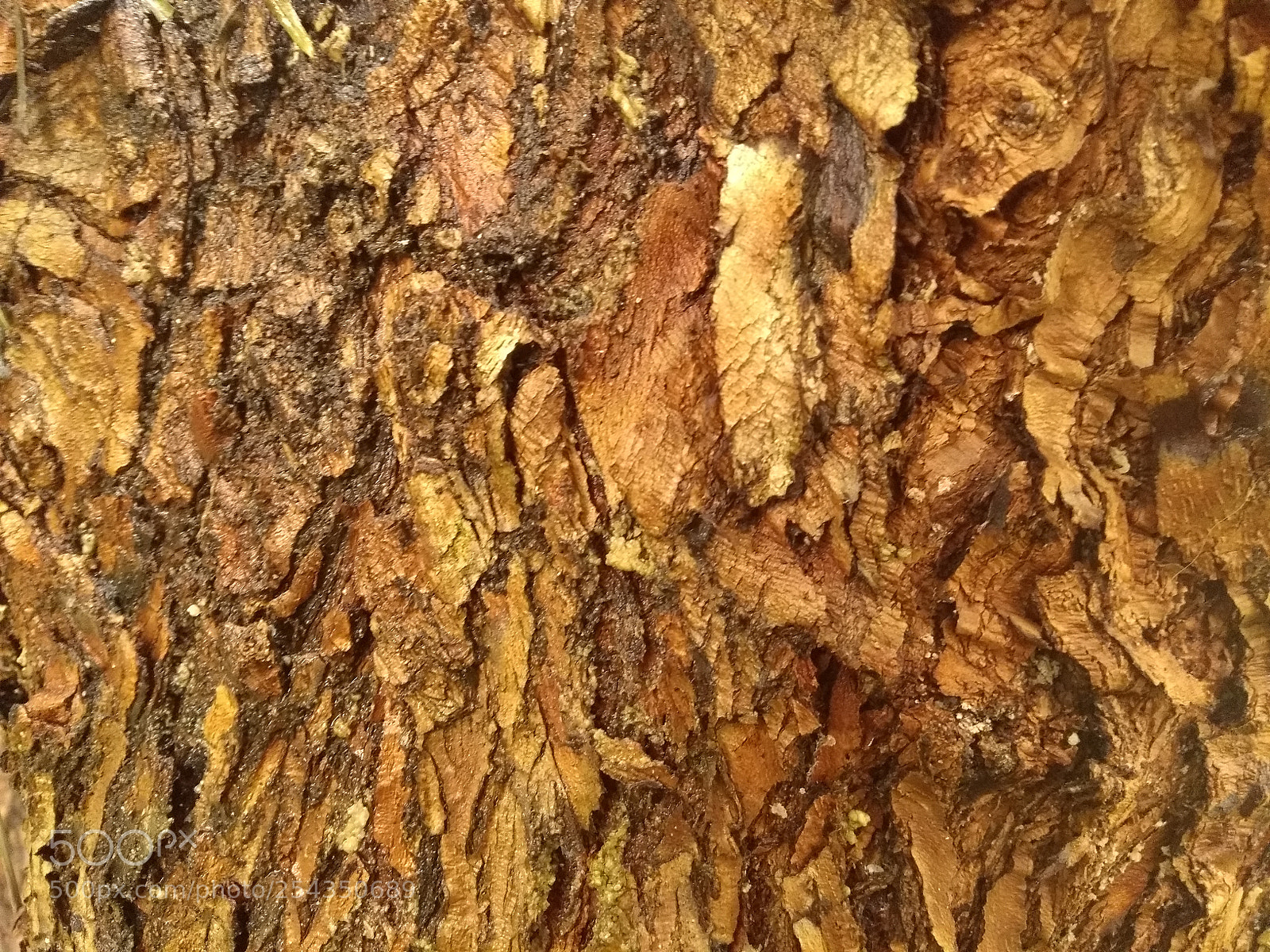 Motorola Moto G (5th Gen) sample photo. Textura photography