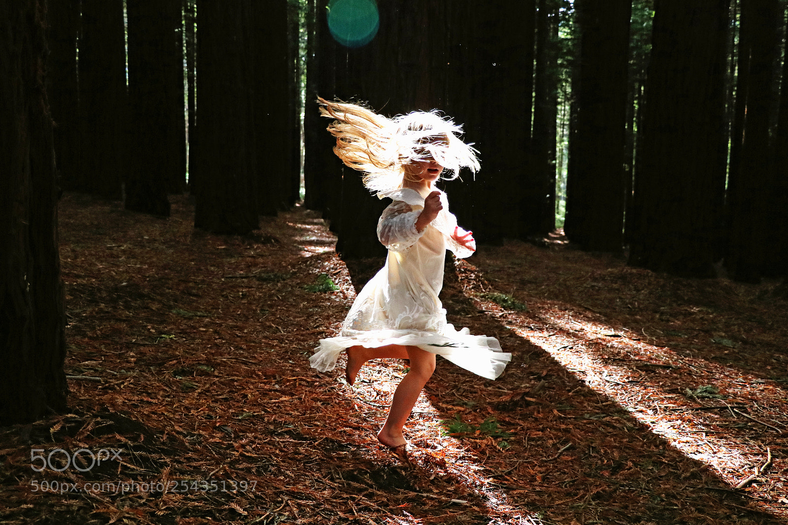 Canon EOS 80D sample photo. Sun dance photography
