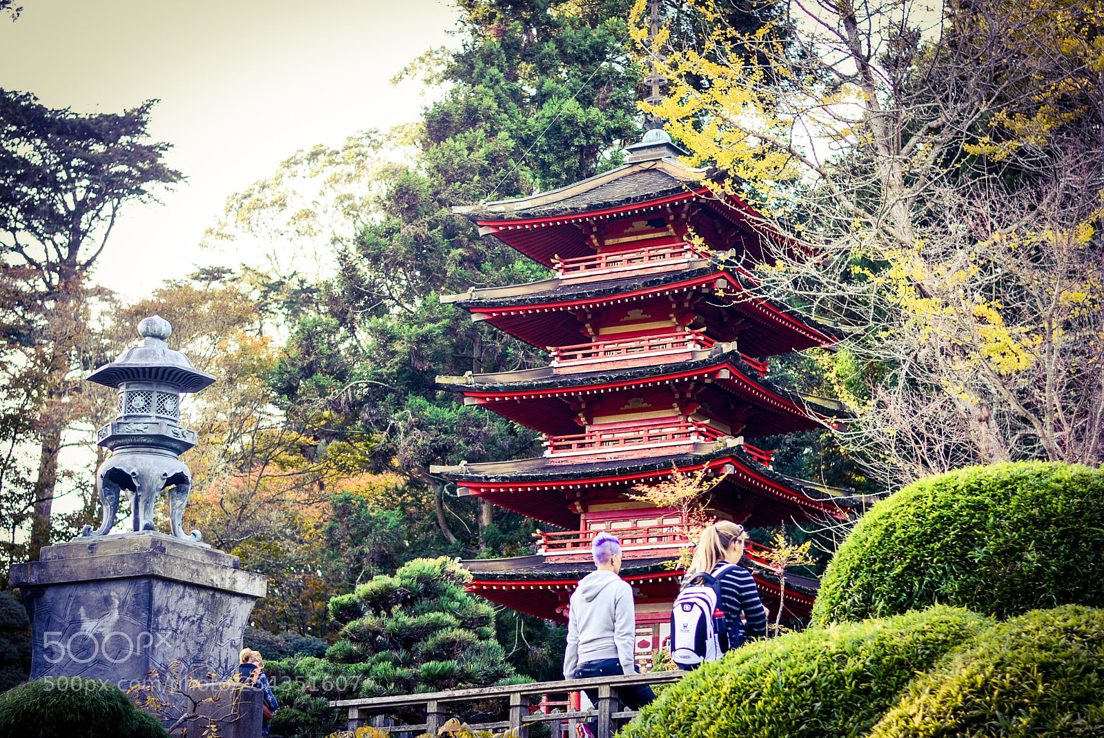 Nikon D7100 sample photo. Untitled photography
