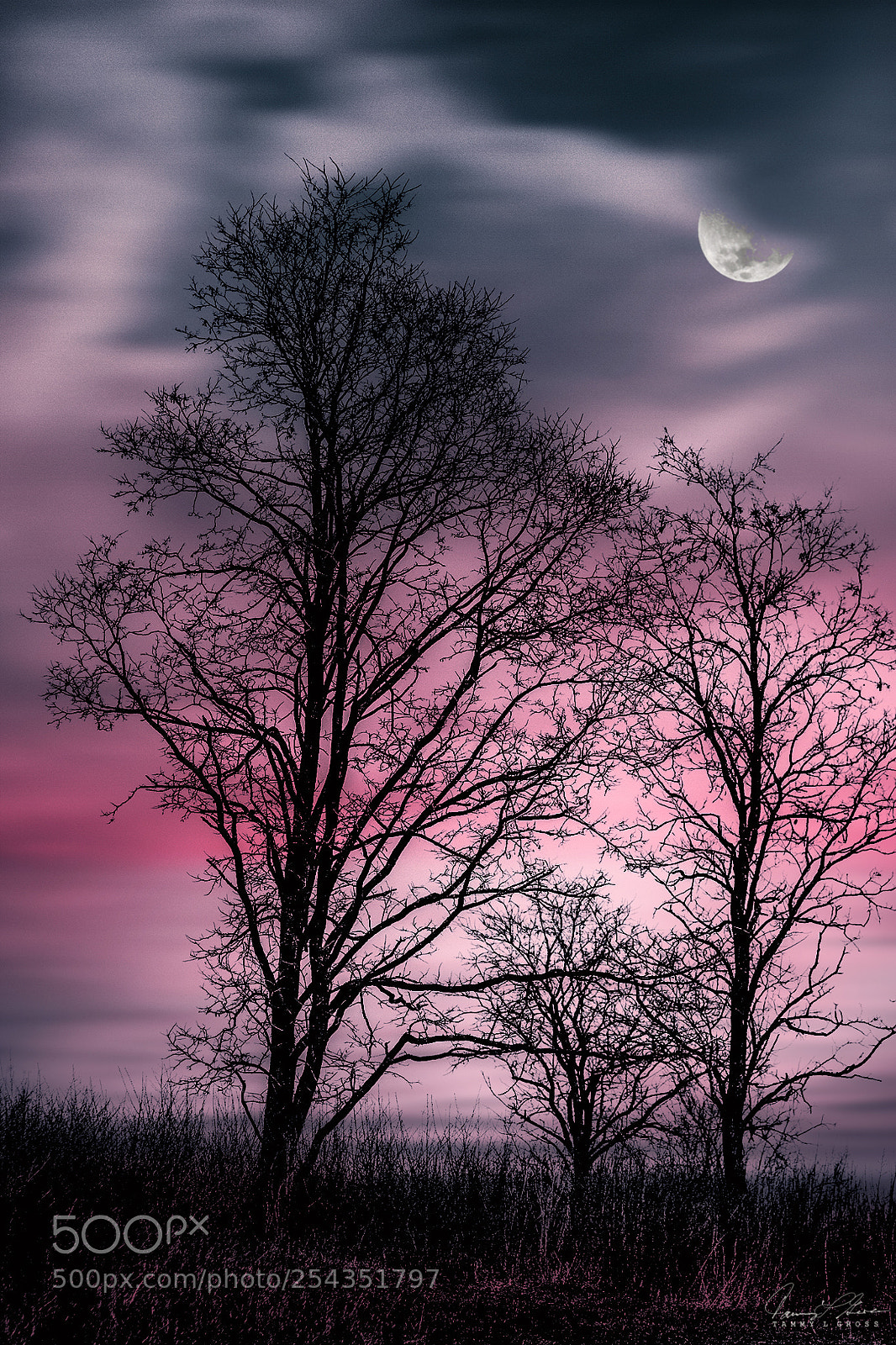 Canon EOS 7D sample photo. Pink sky at night... photography