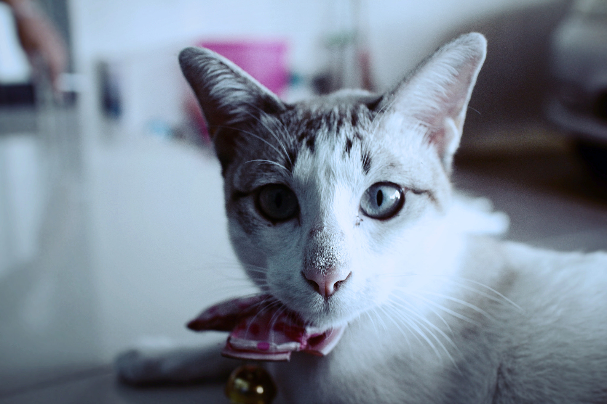 Canon EOS M sample photo