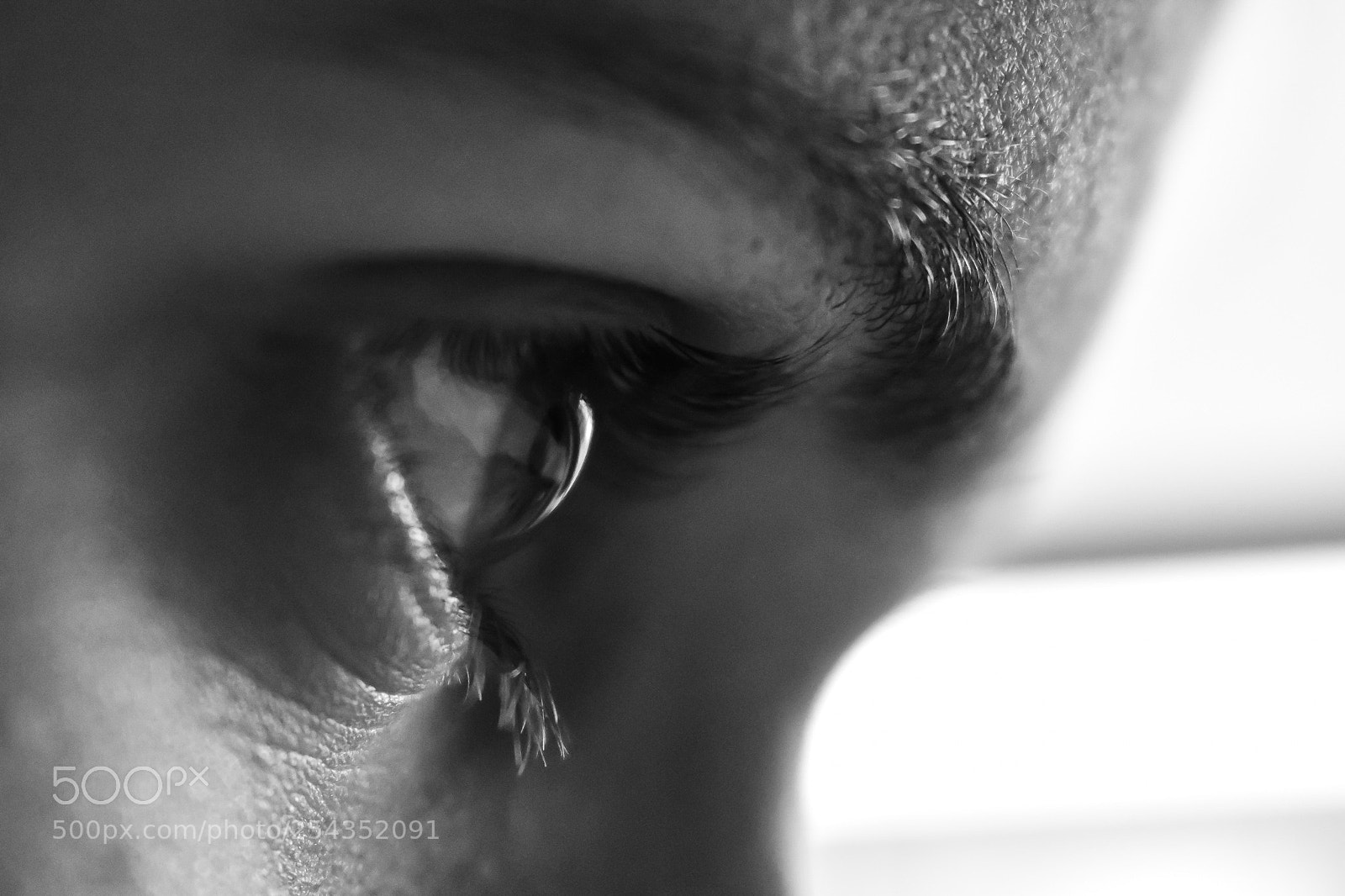 Nikon D3400 sample photo. Focus photography