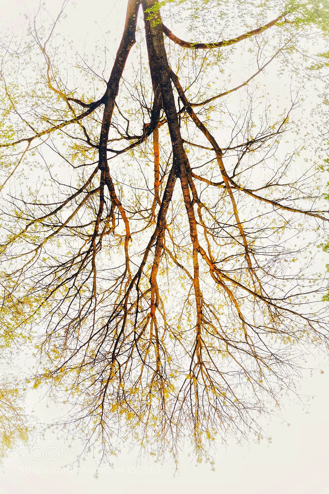 Fujifilm X-T10 sample photo. Viens  photography