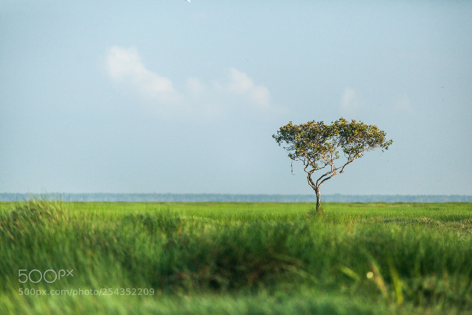Canon EOS 5D Mark II sample photo. Thale noi waterbird park photography