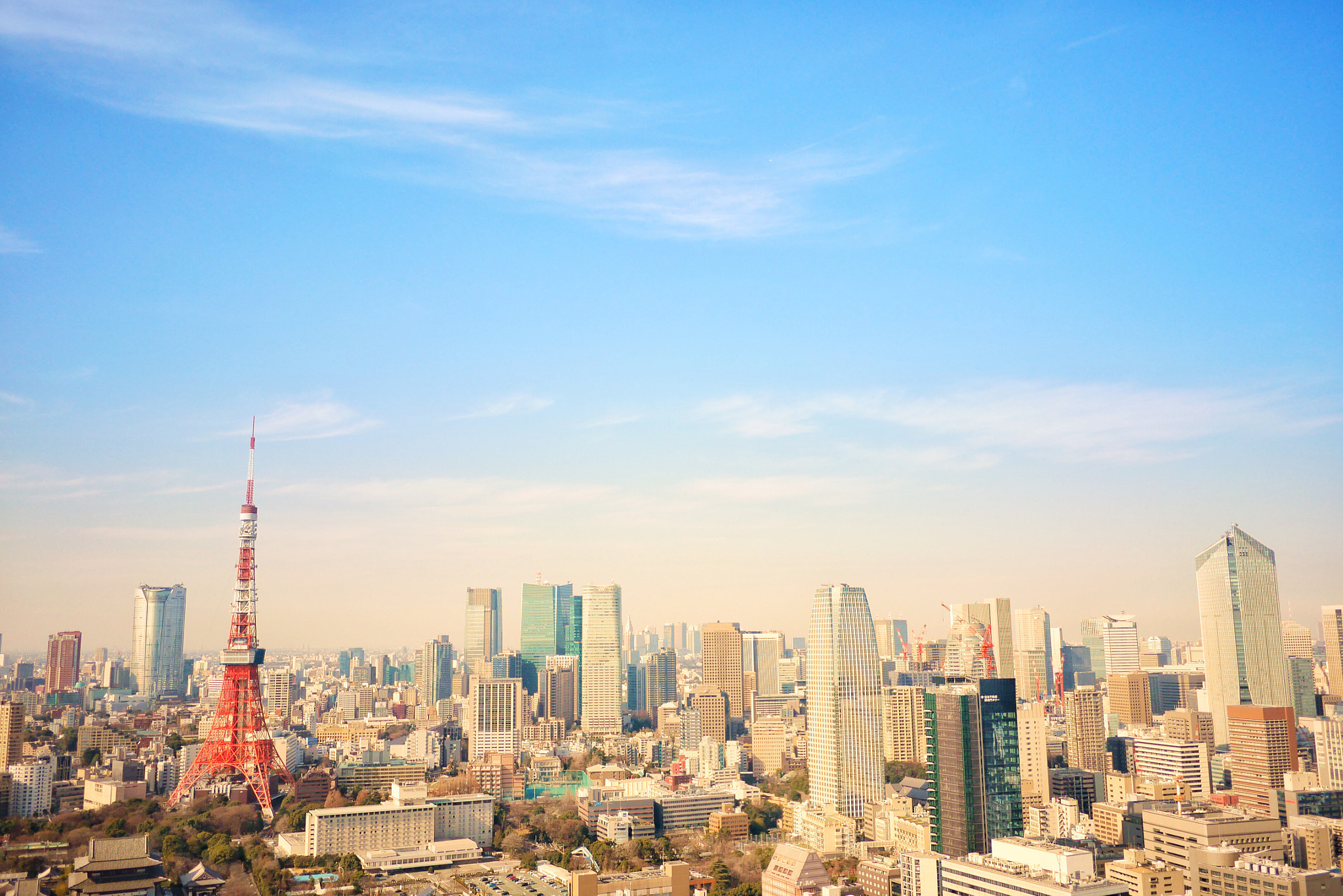 Panasonic Lumix DMC-GX85 (Lumix DMC-GX80 / Lumix DMC-GX7 Mark II) sample photo. Tokyo morning photography