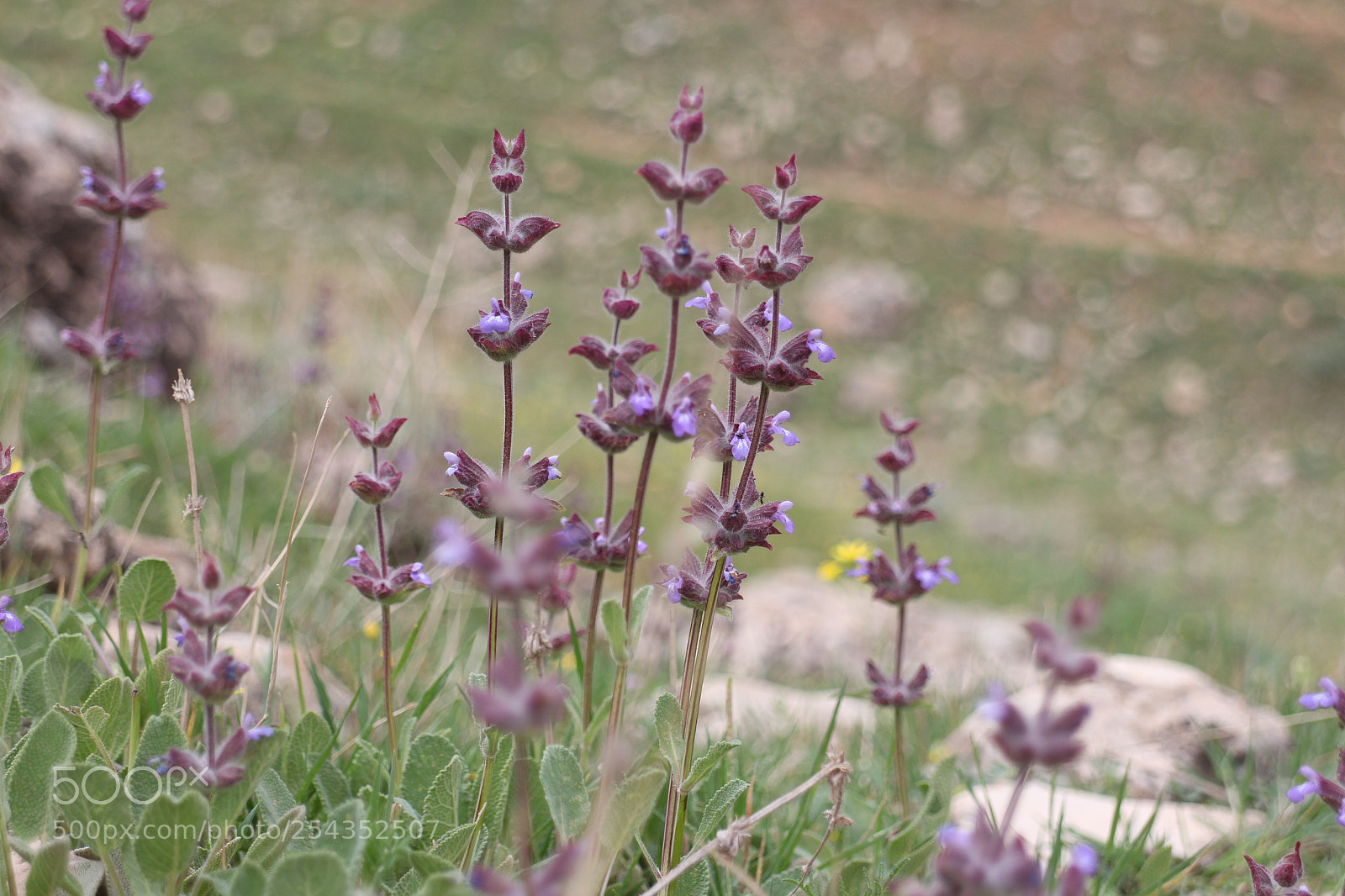 Canon EOS M sample photo. Untitled photography